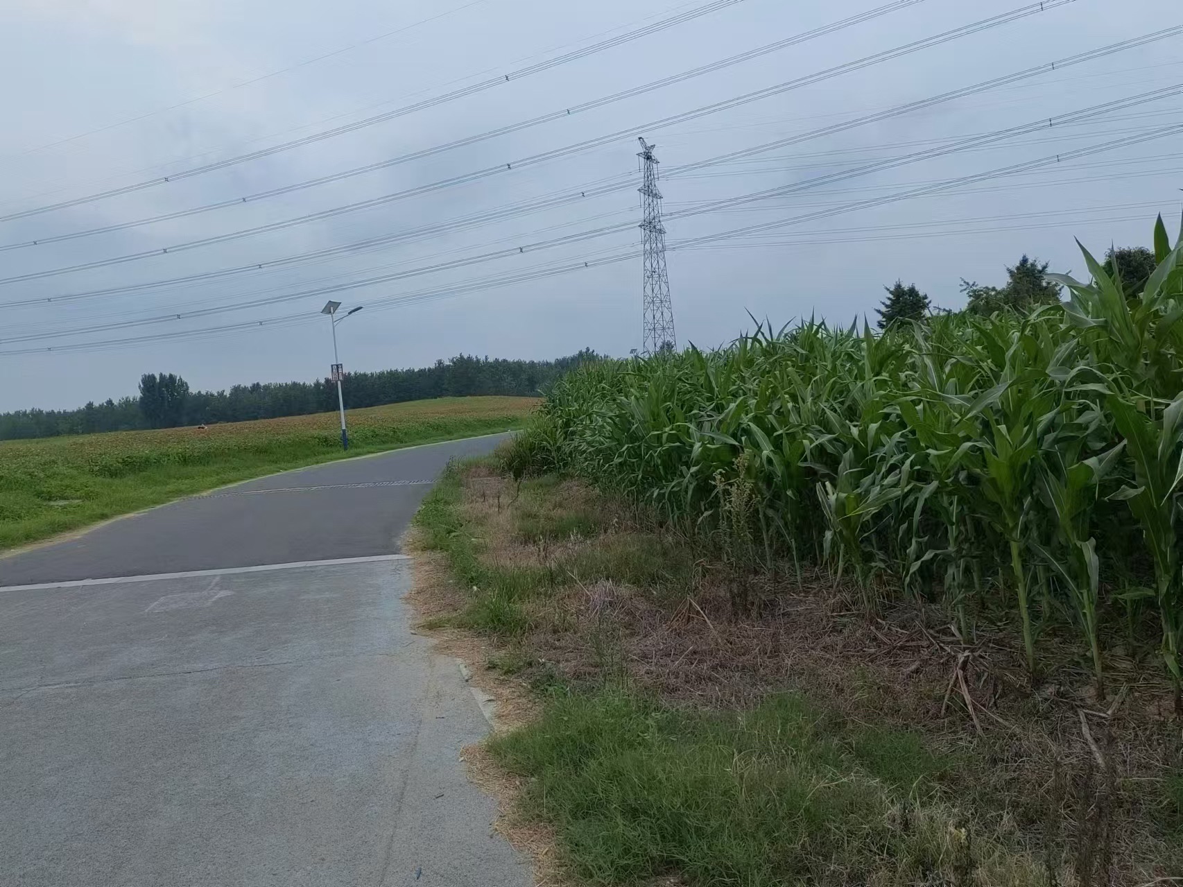 涟水县百花园旅行图片 2