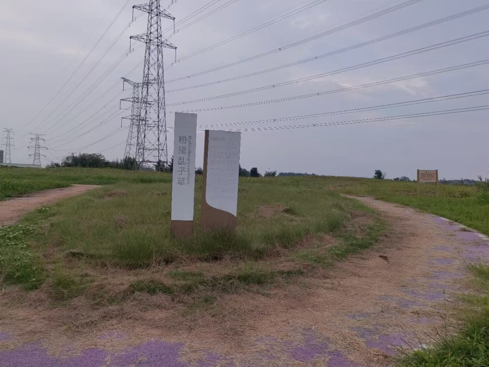 涟水县百花园旅行图片 1