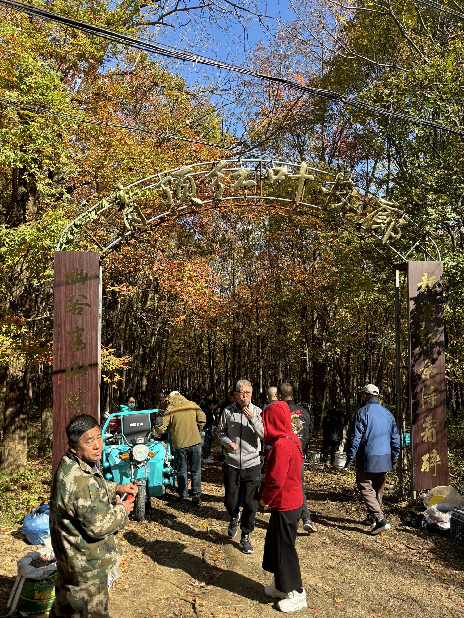青顶红叶长廊旅行图片 1