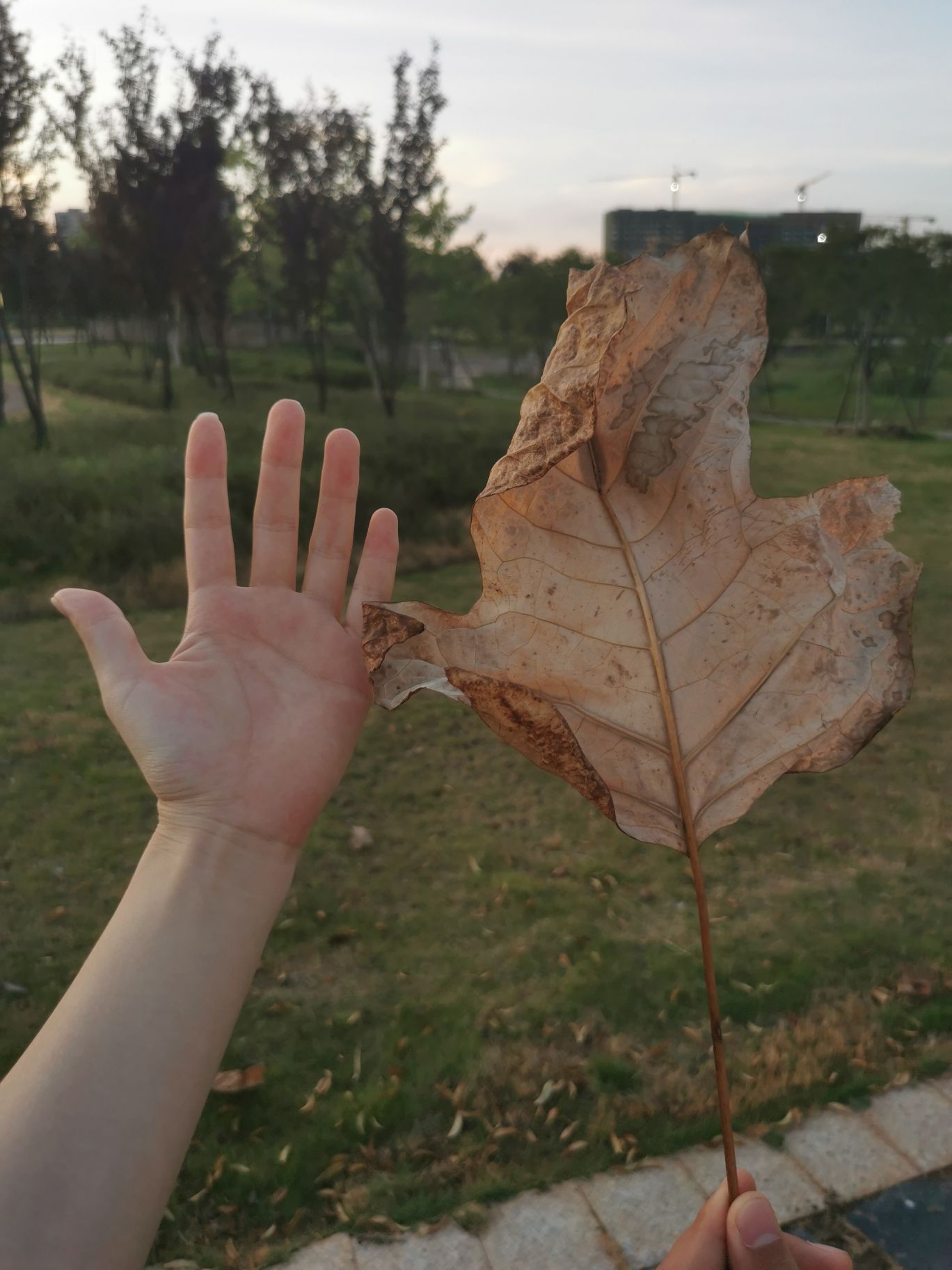 龙溪河国家湿地公园旅行图片 1