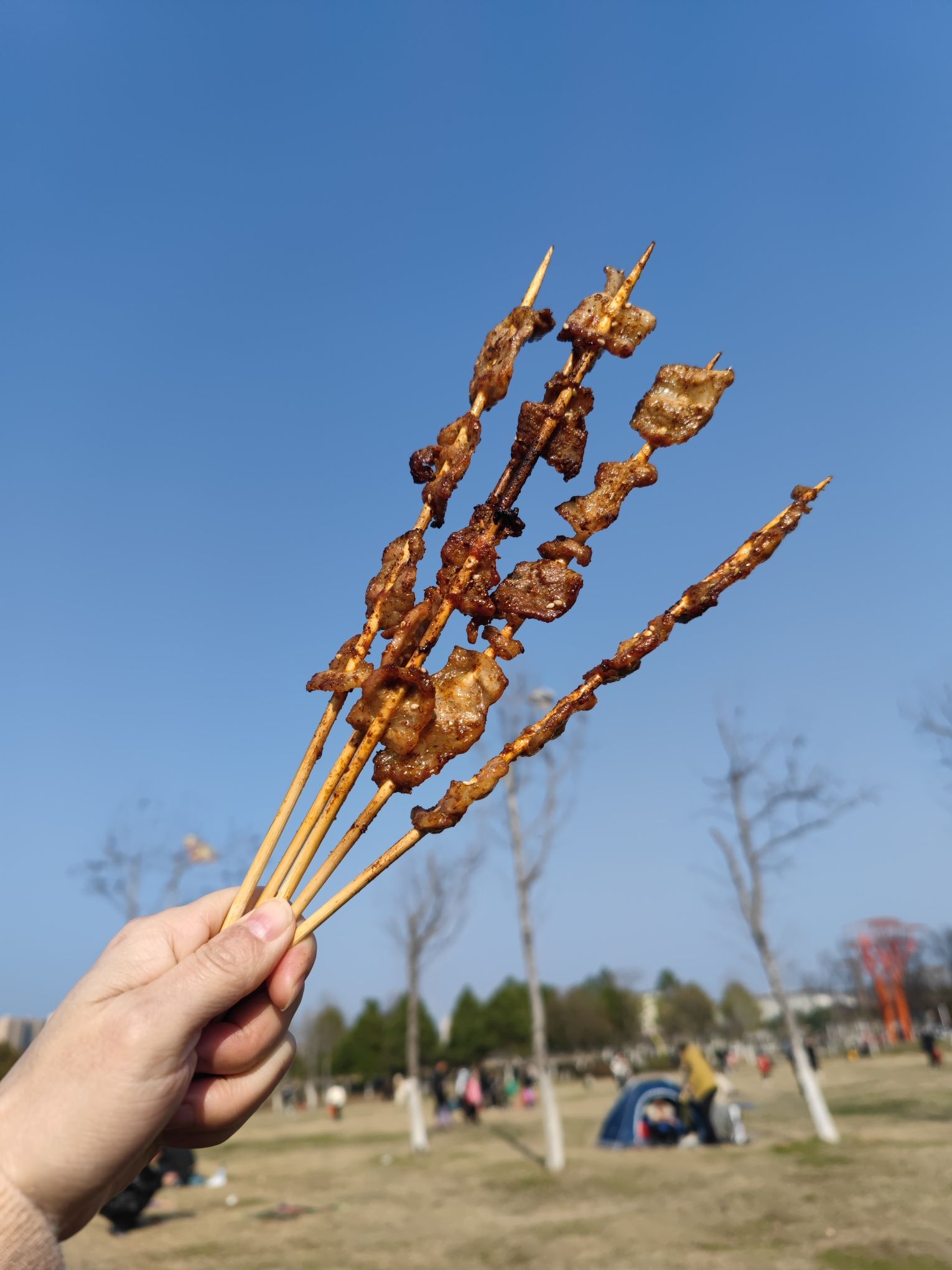 龙溪河国家湿地公园旅行图片 2