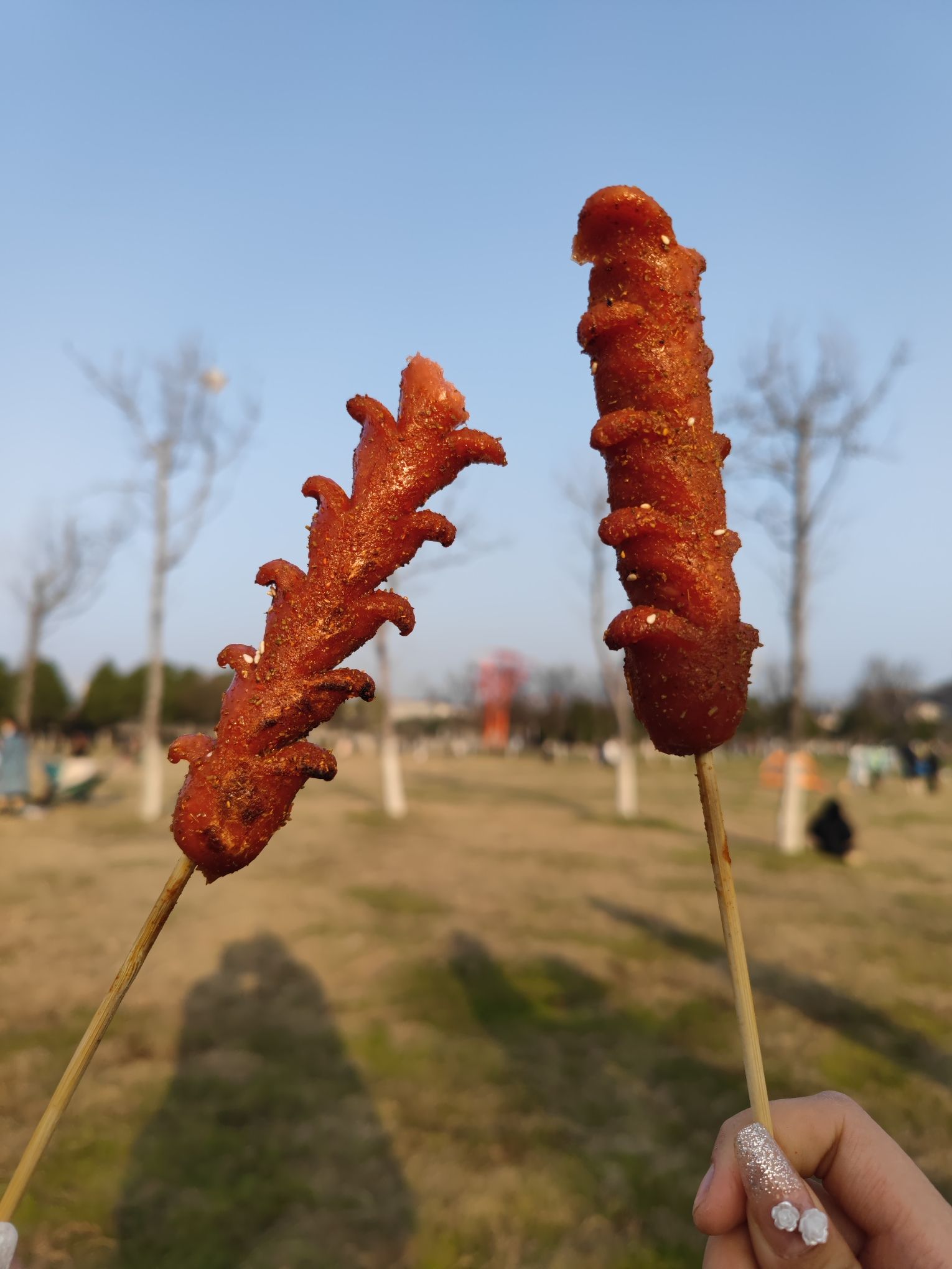 龙溪河国家湿地公园旅行图片 1