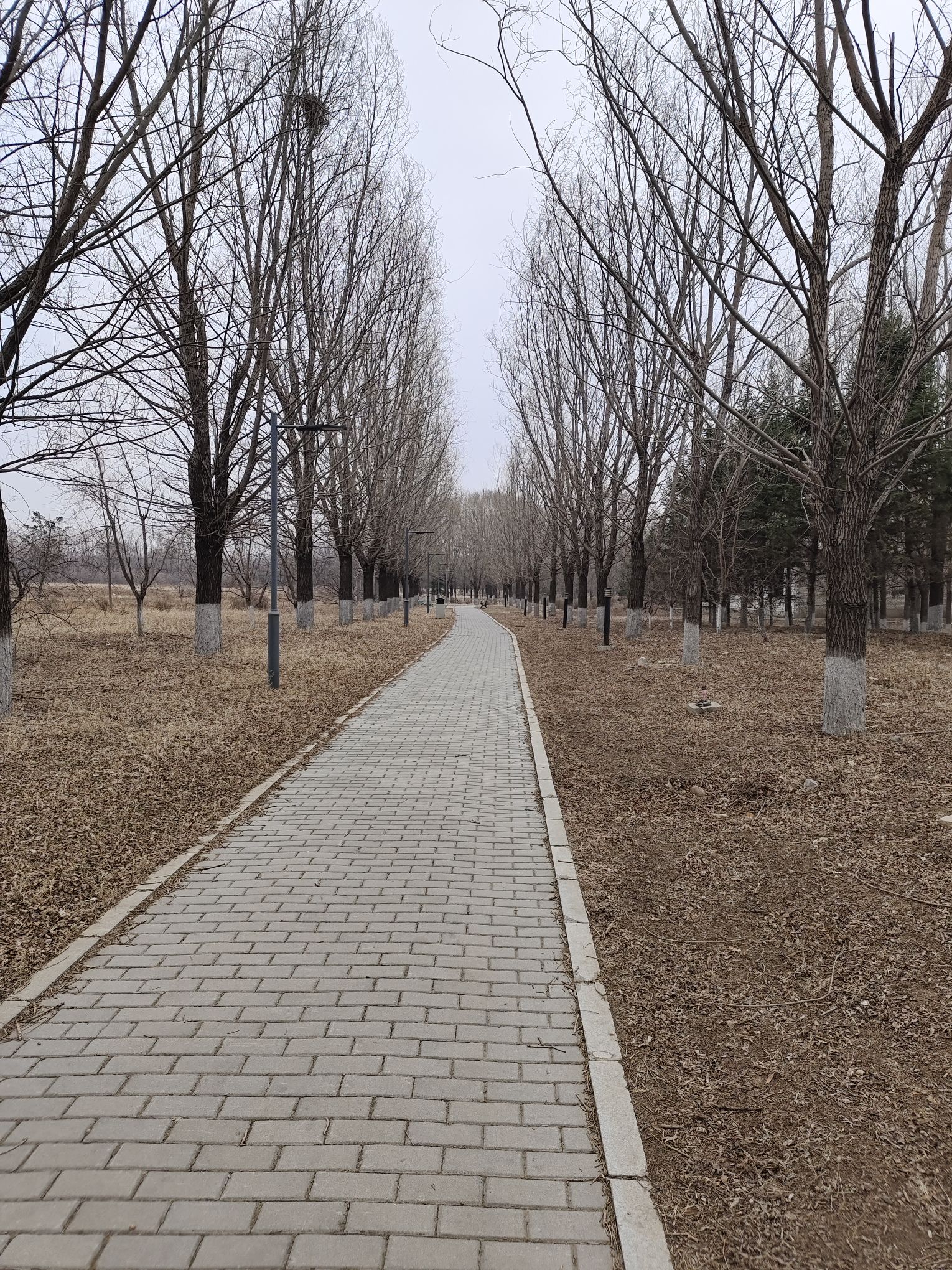东京城遗址公园旅行图片 2
