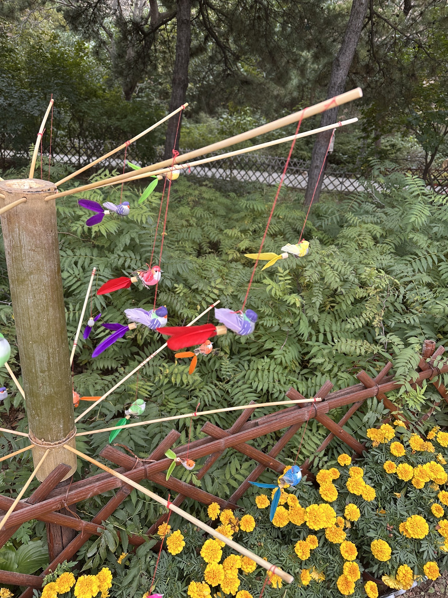 场地封面-森林大舞台