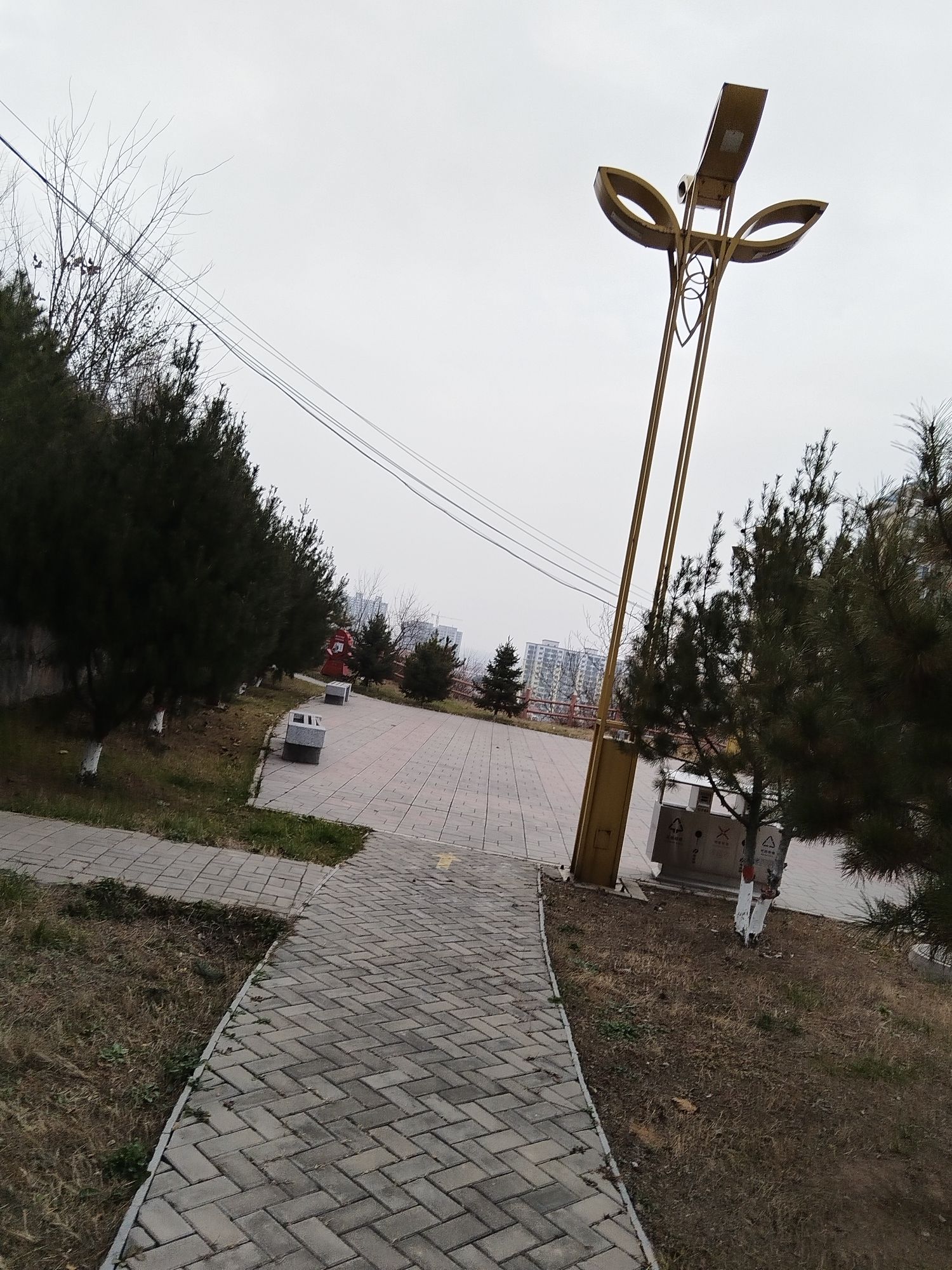 陶乐公园旅行图片 3