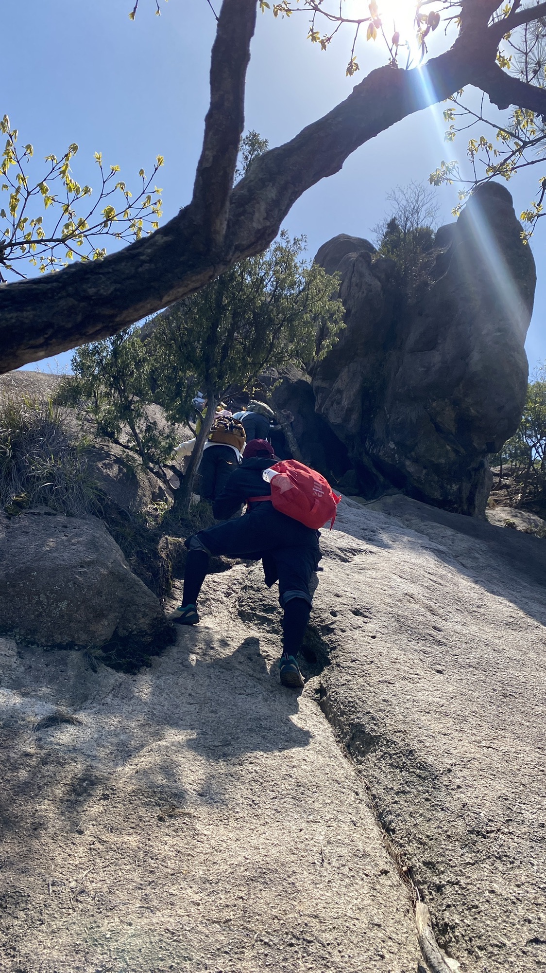 龙须山景区旅行图片 3