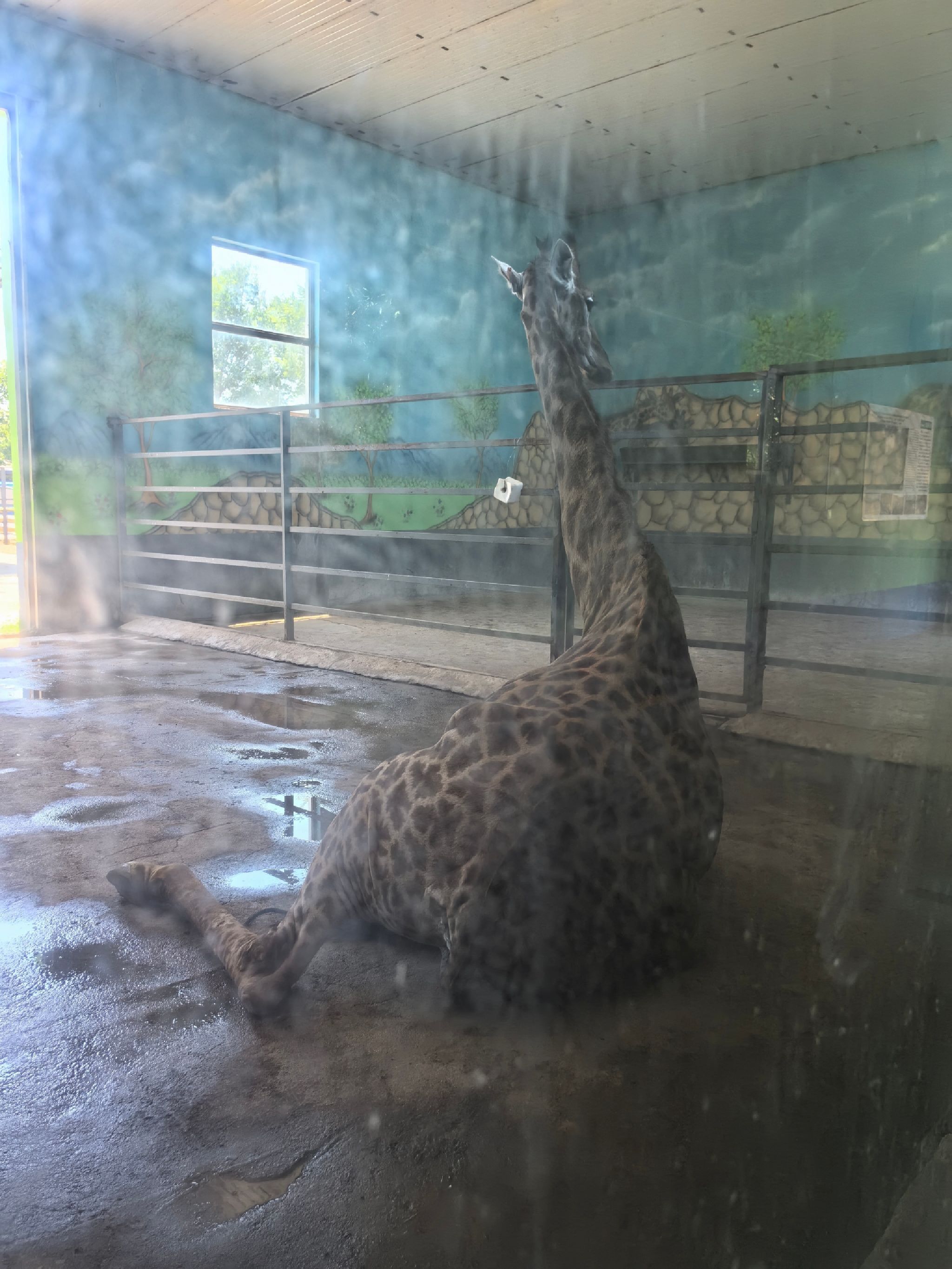 龙口动植物园旅行图片 3