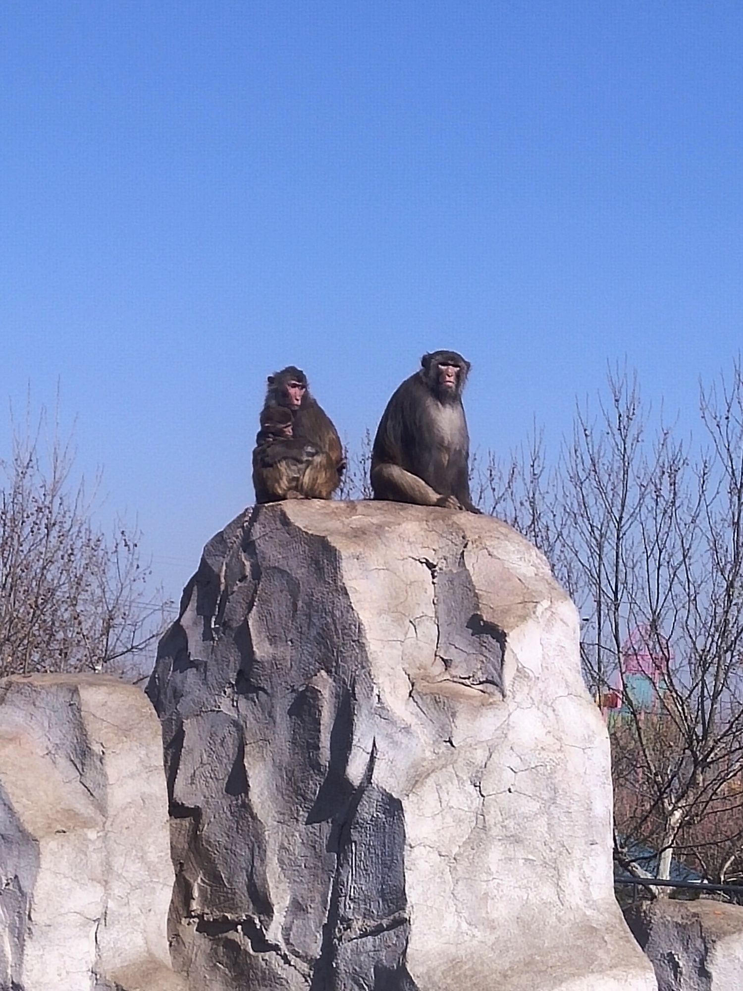龙口动植物园旅行图片 3