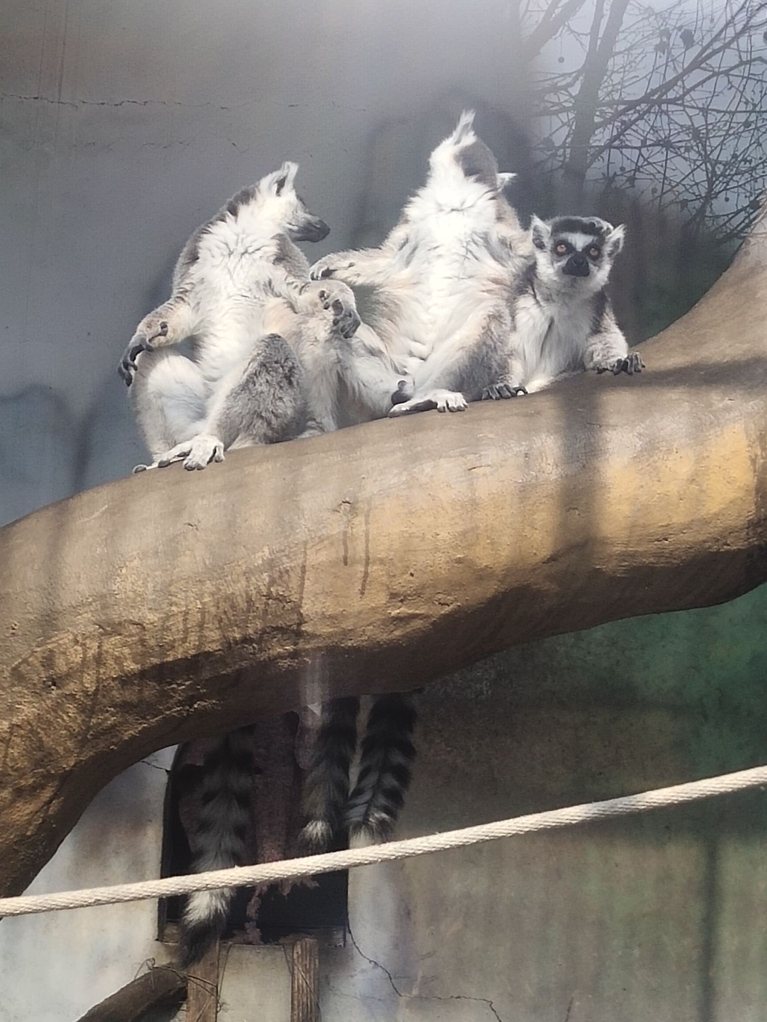 龙口动植物园旅行图片 2