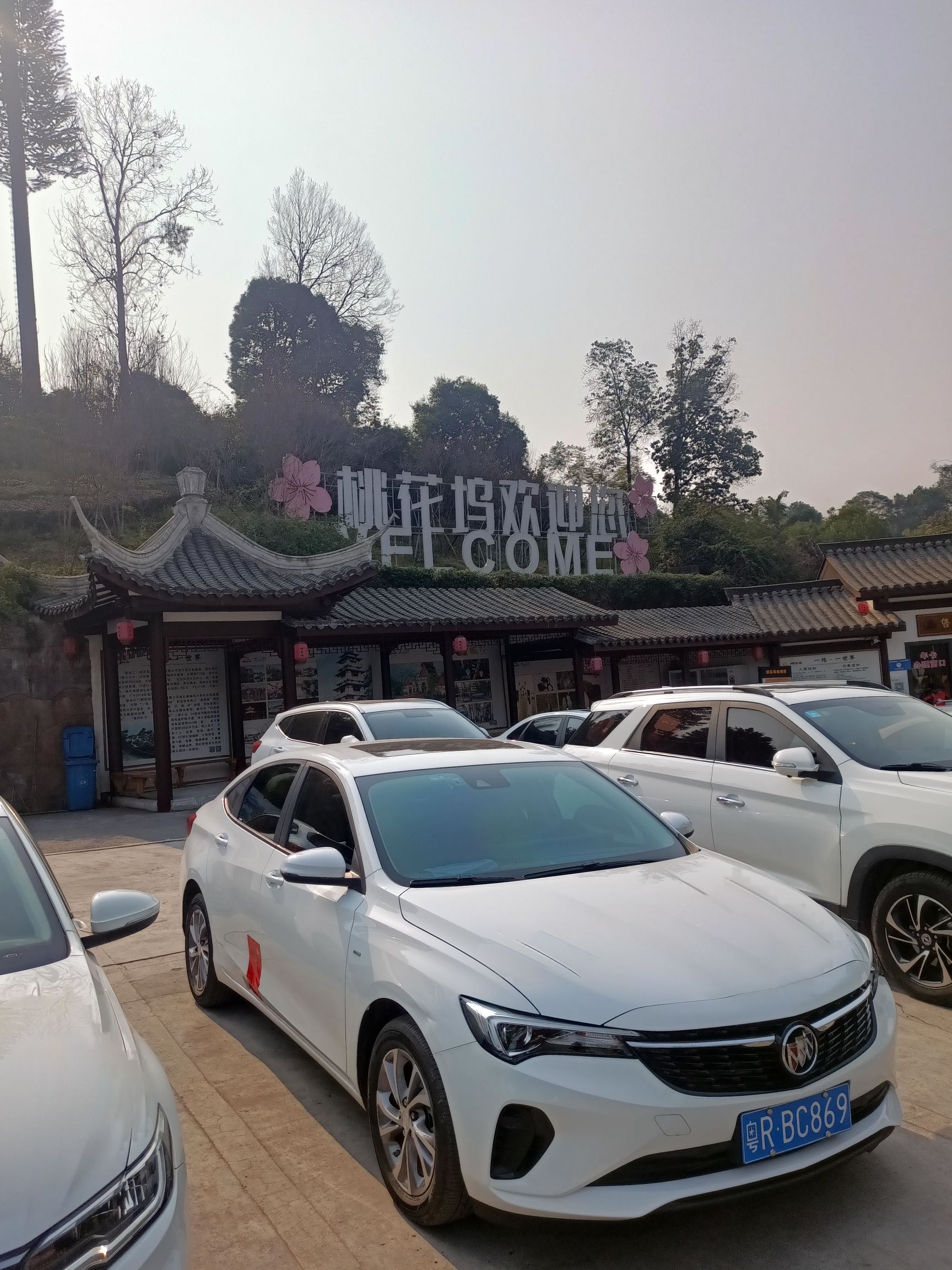 坝上桃花坞旅行图片 1