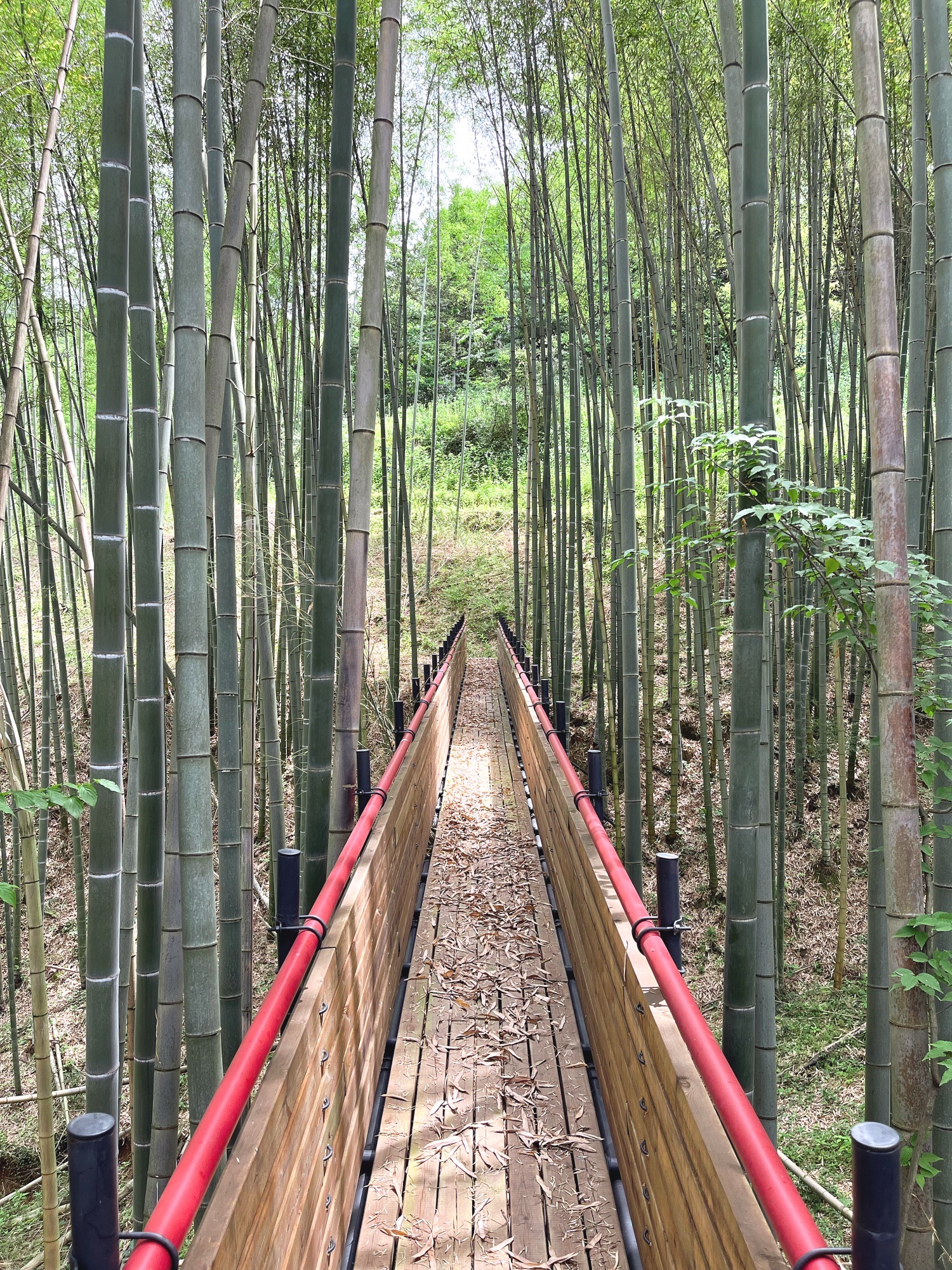 汪家冲观景台旅行图片 3