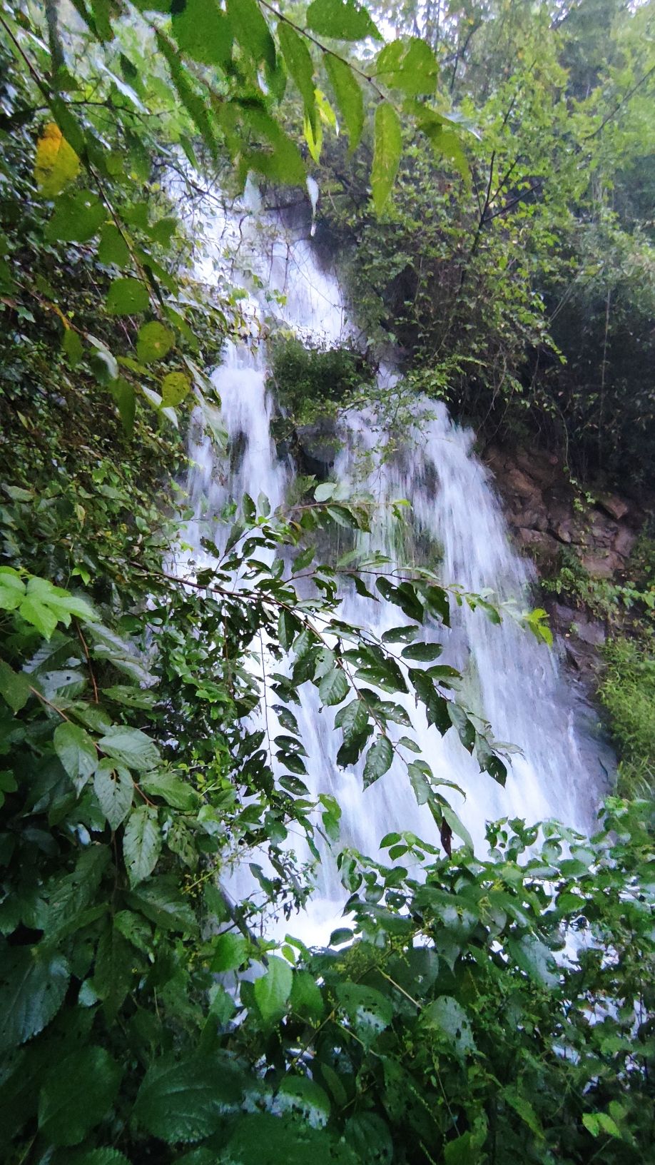汪家冲观景台旅行图片 3