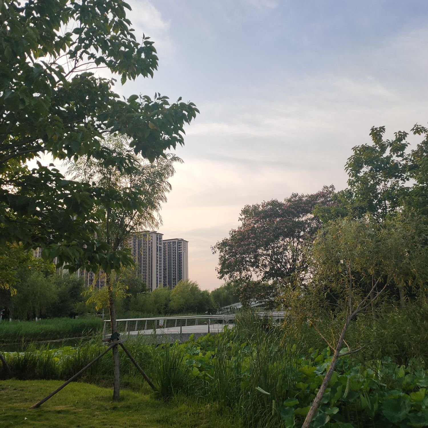 中央公园旅行图片 3
