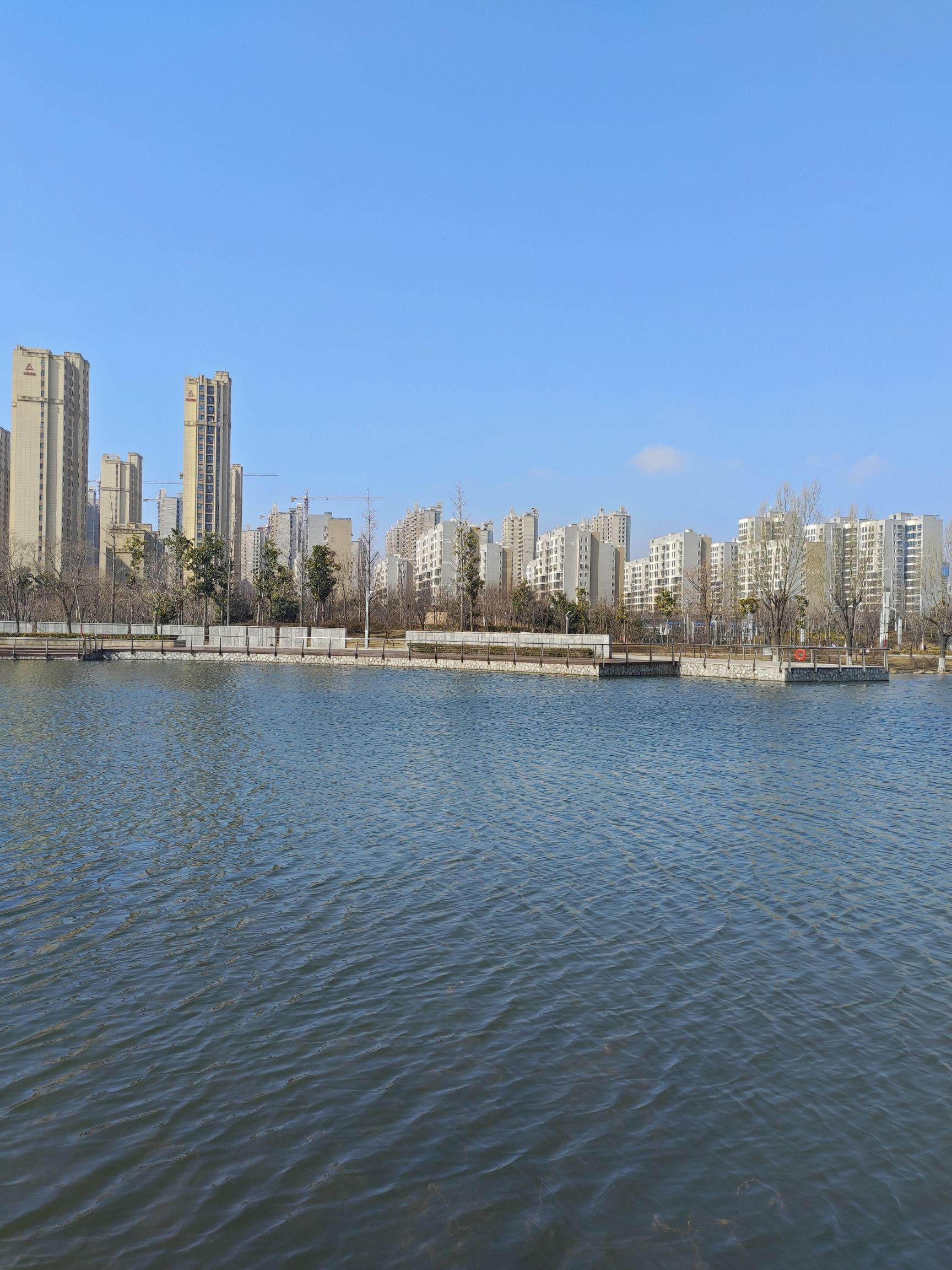 中央公园旅行图片 2