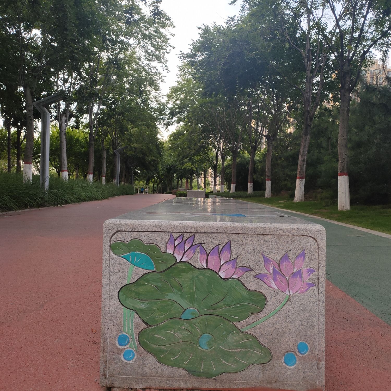 中央公园旅行图片 1