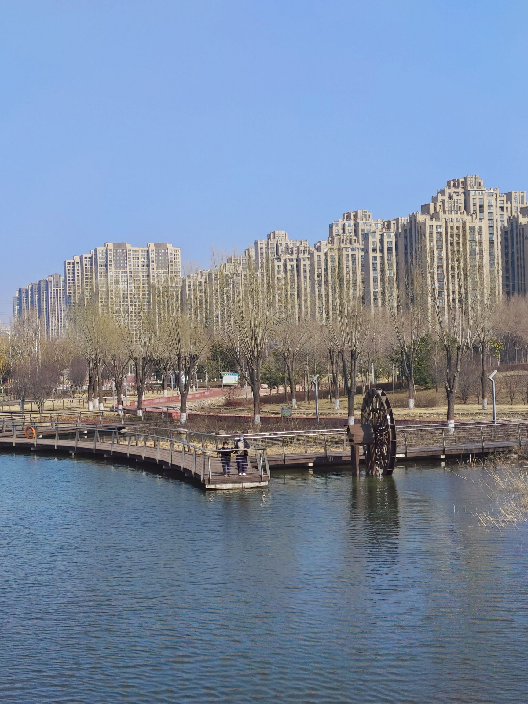 中央公园旅行图片 3