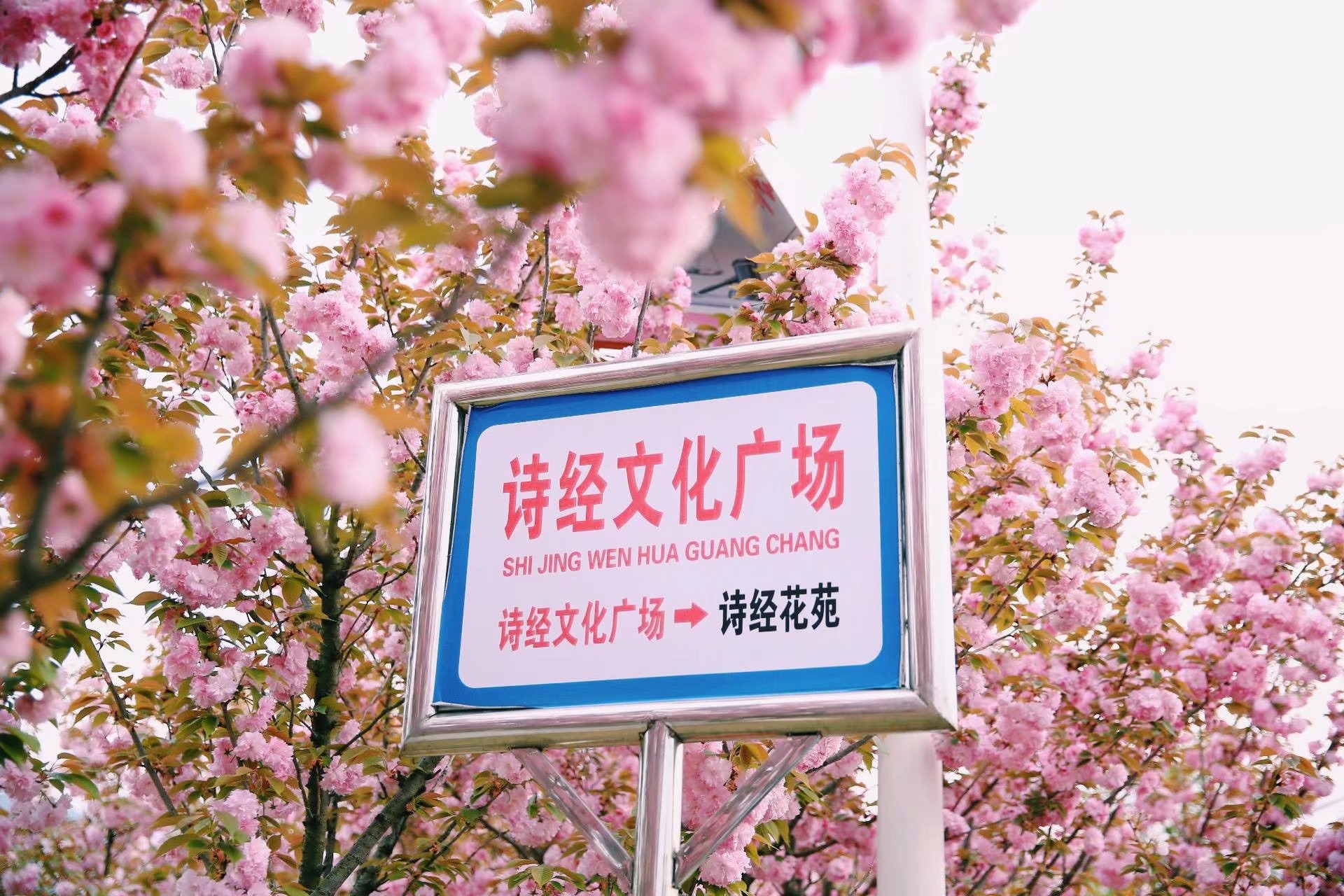 诗经文化公园