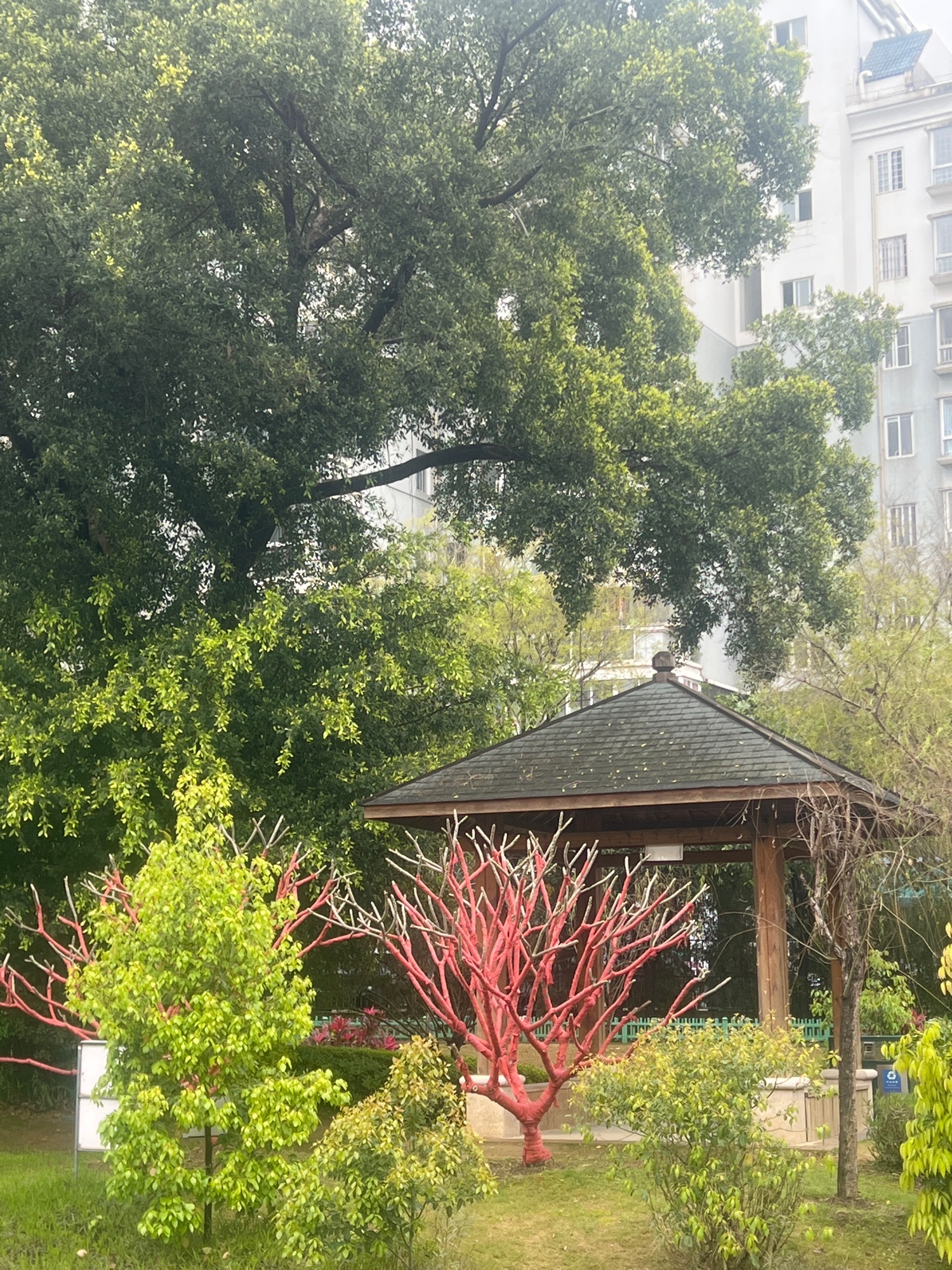 洋下公园旅行图片 3