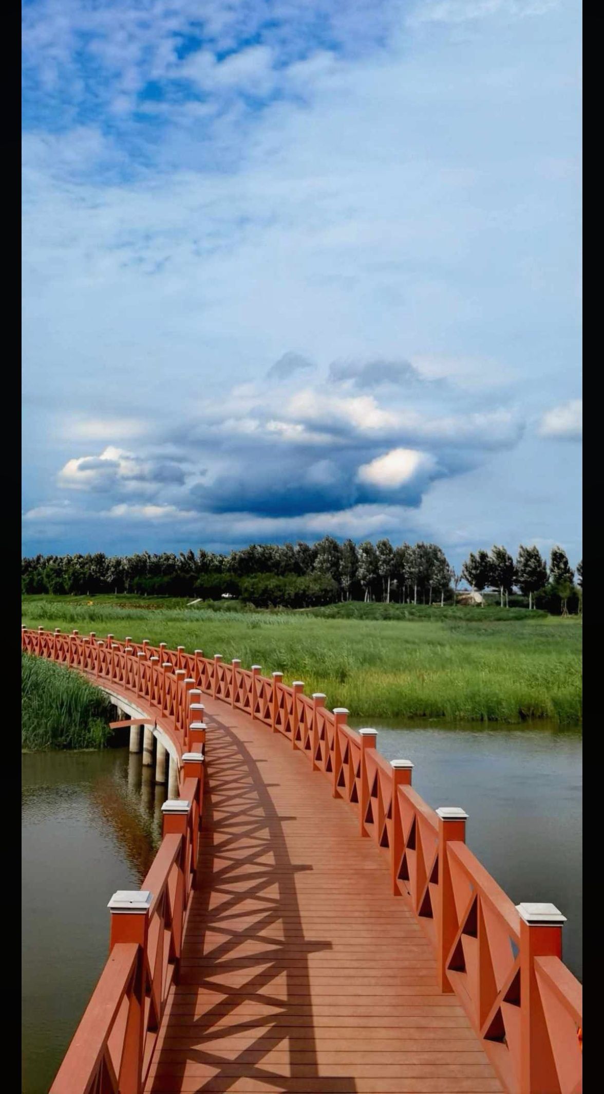西湖湿地公园旅行图片 1