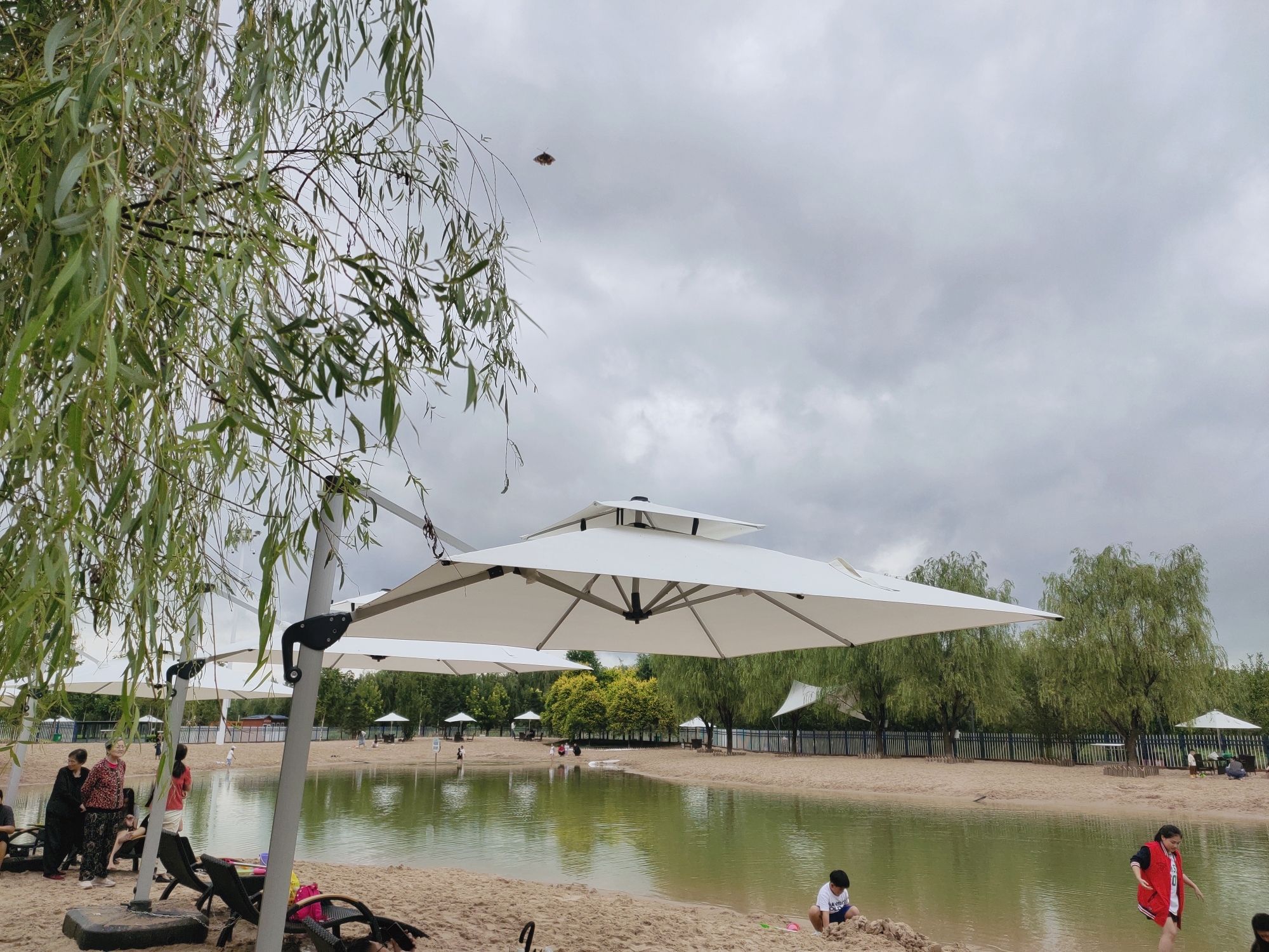 西湖湿地公园旅行图片 2