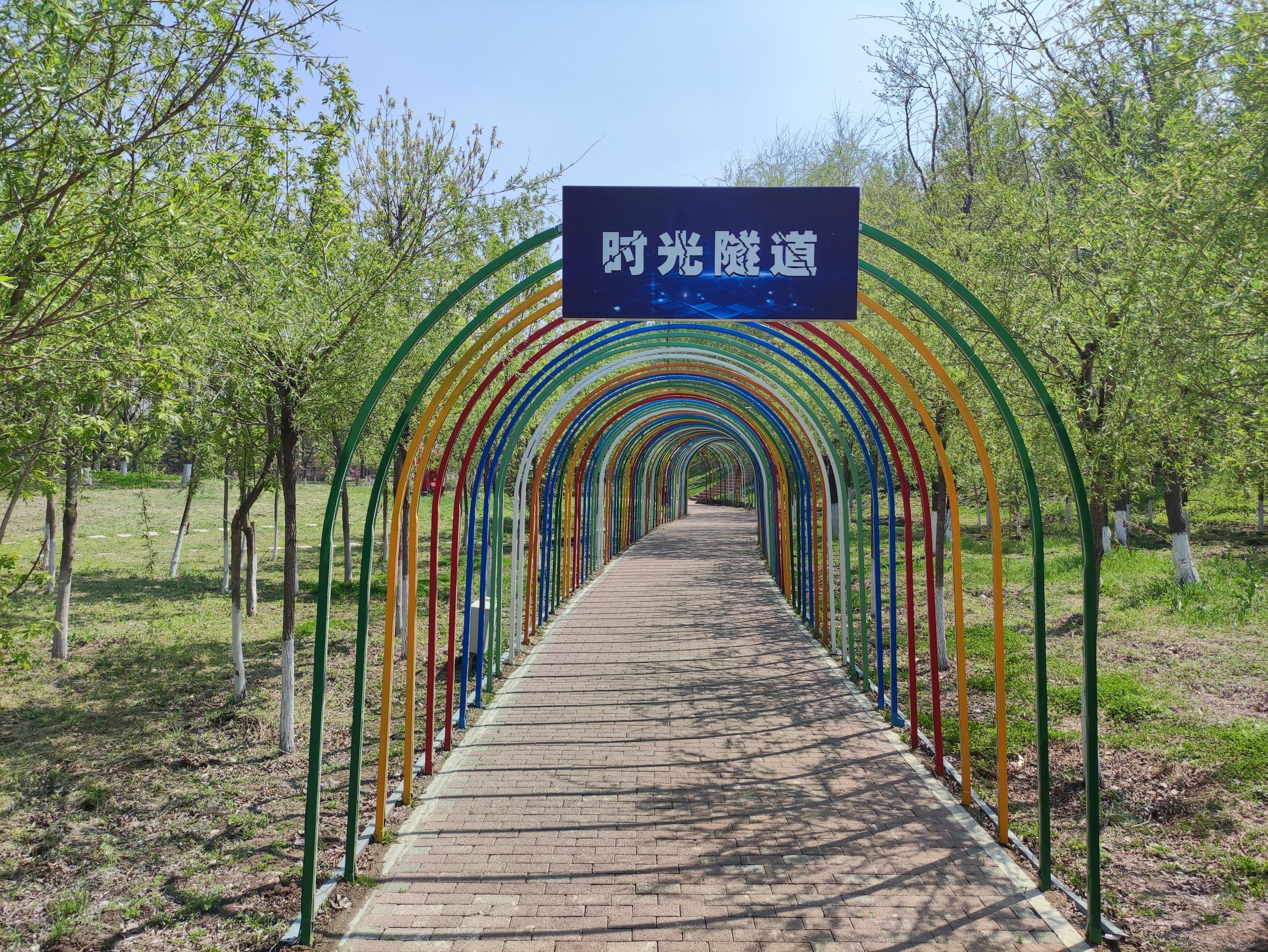 西湖湿地公园旅行图片 2