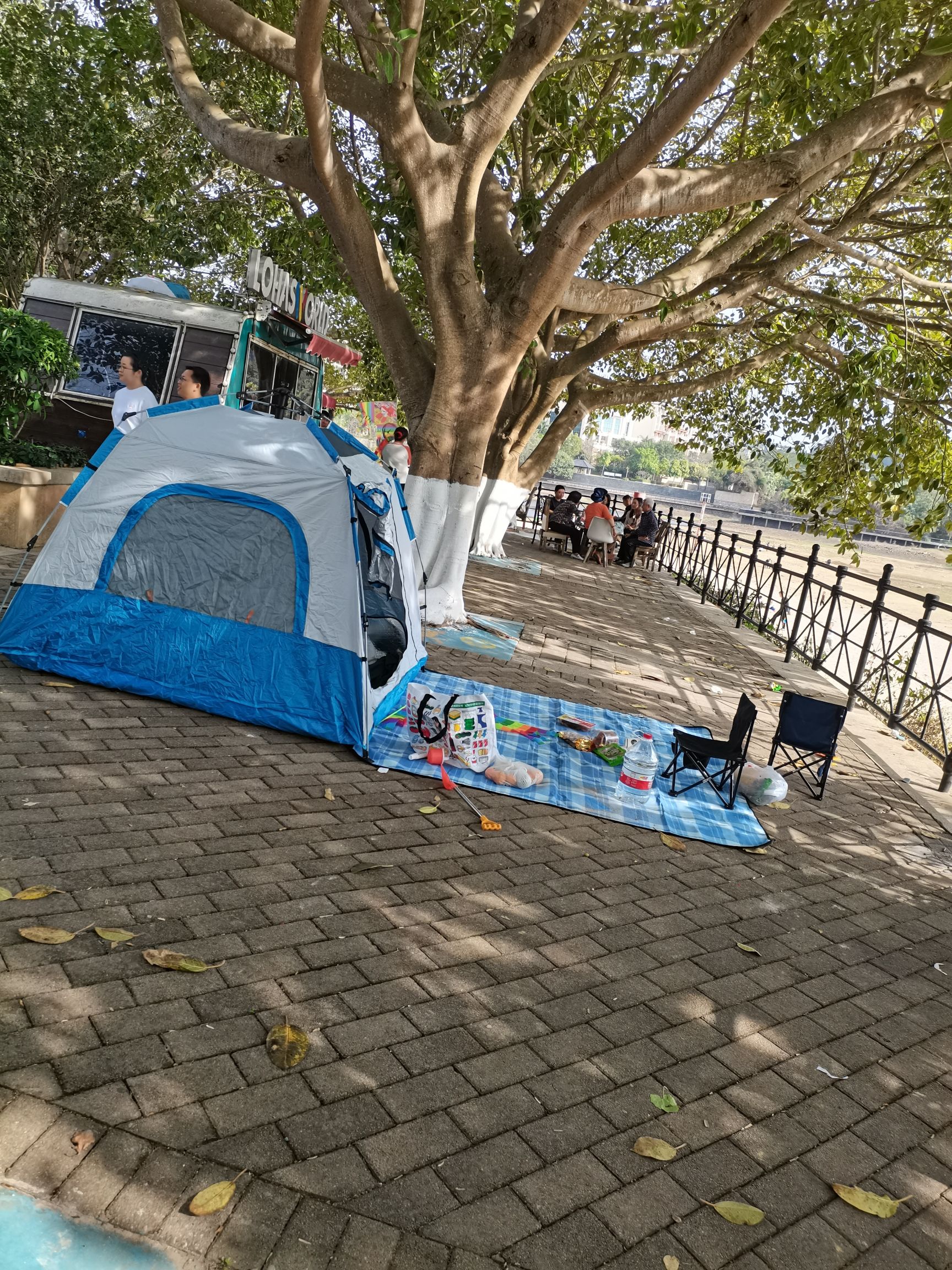 白鹭湖沙滩旅行图片 3