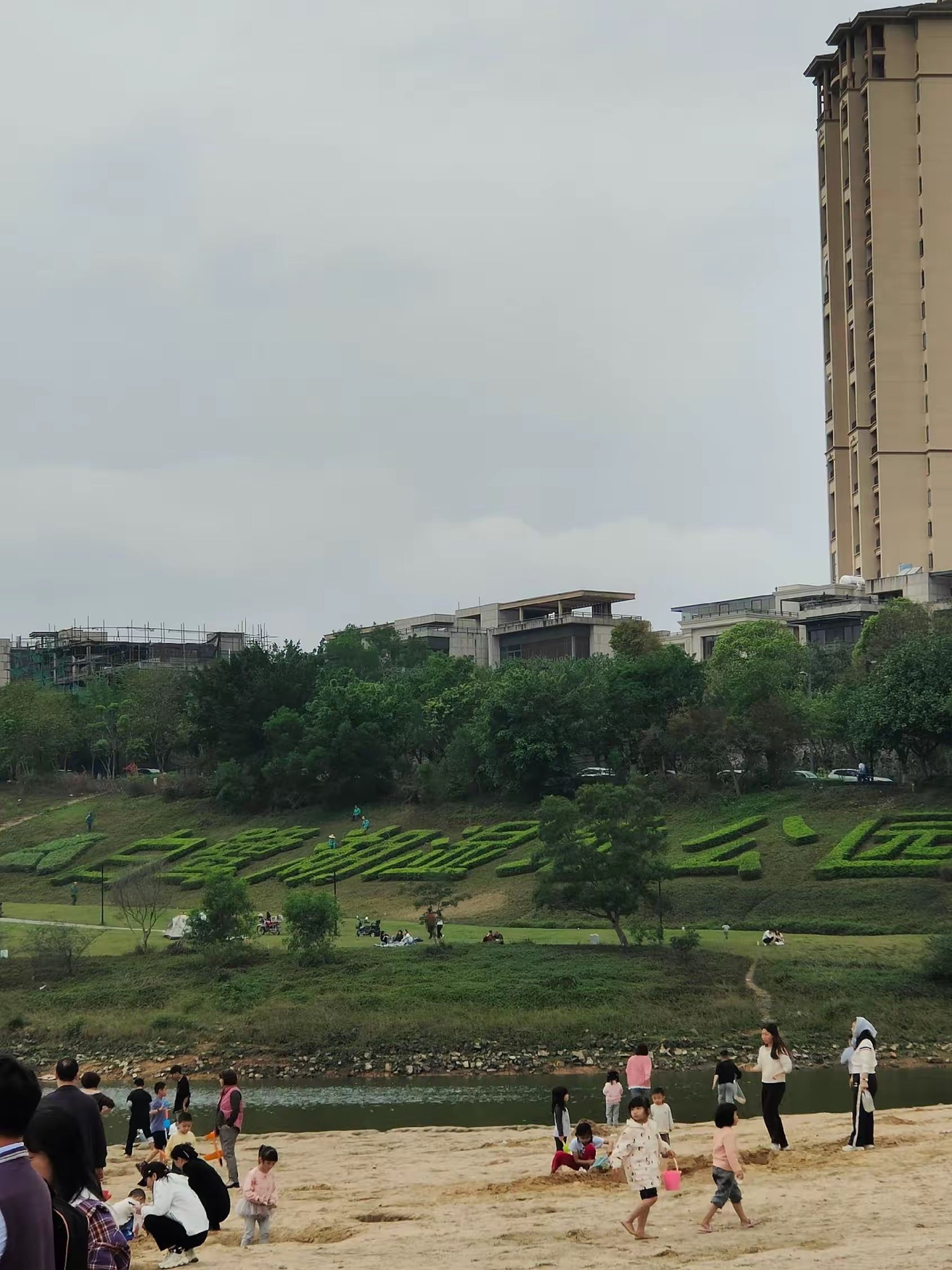 白鹭湖沙滩旅行图片 1