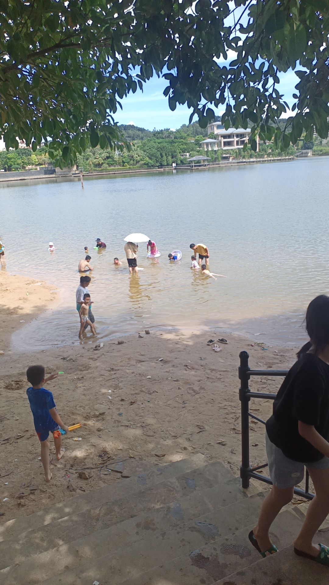 白鹭湖沙滩旅行图片 2