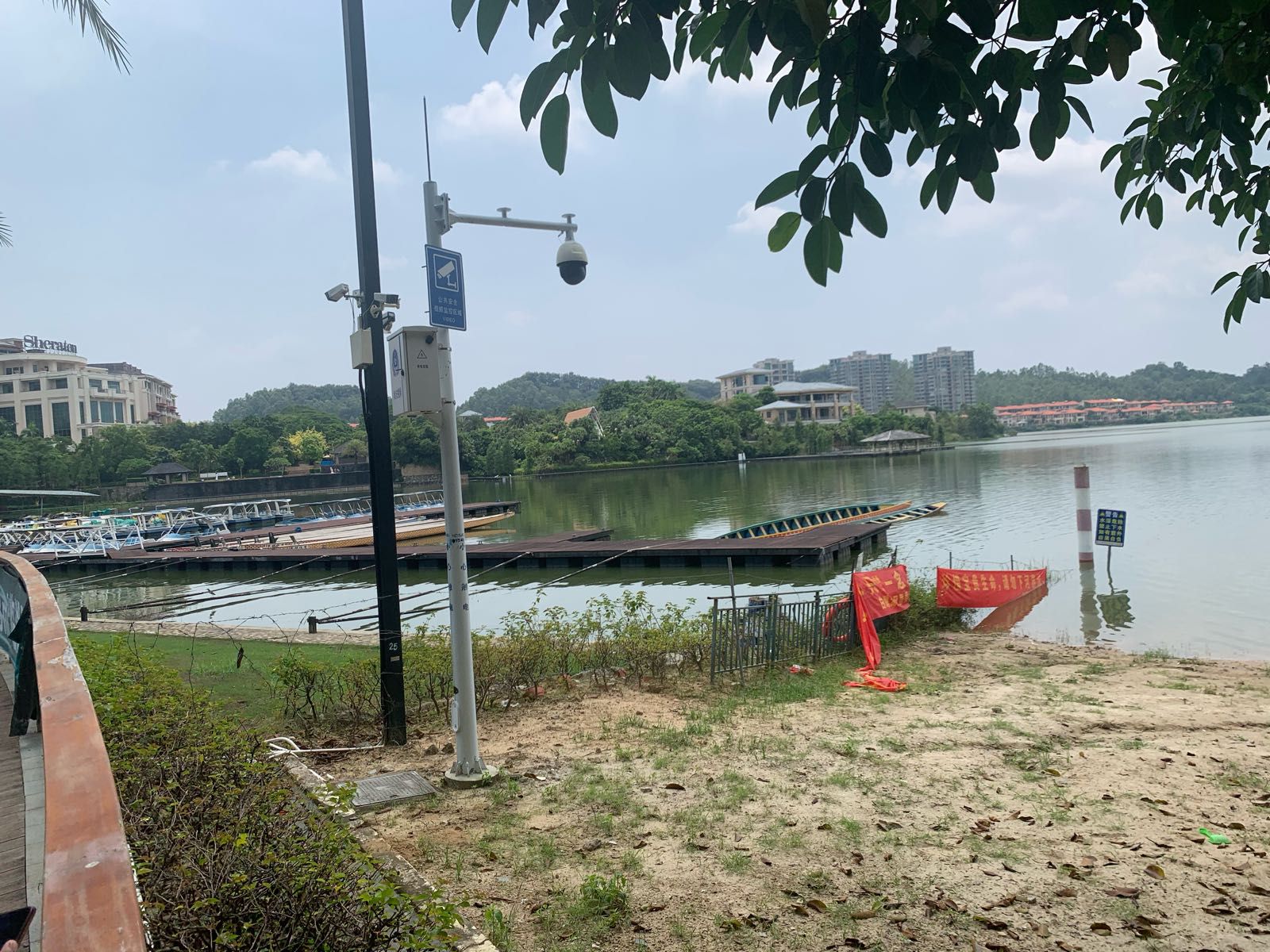 白鹭湖沙滩旅行图片 3