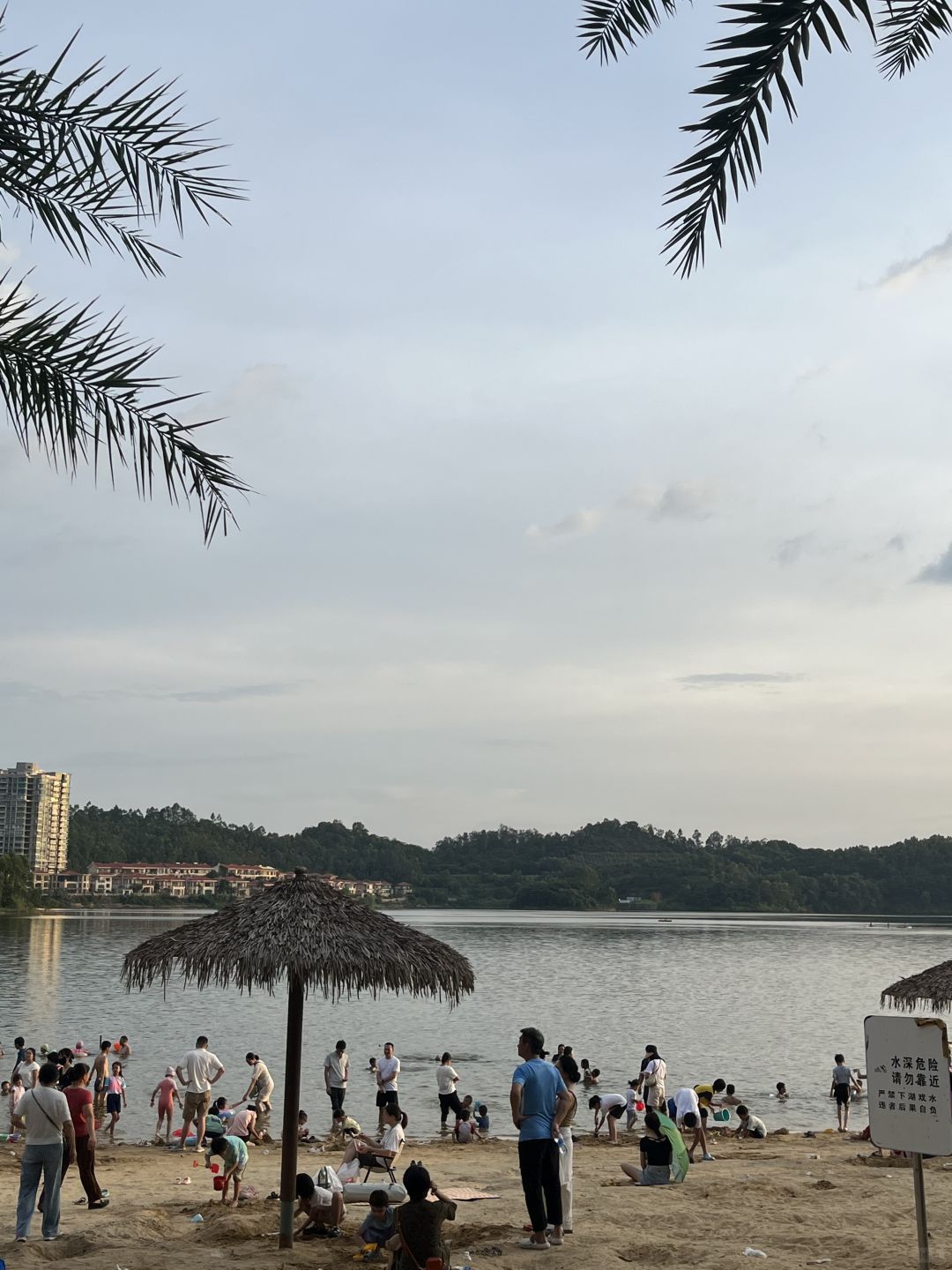 白鹭湖沙滩旅行图片 3