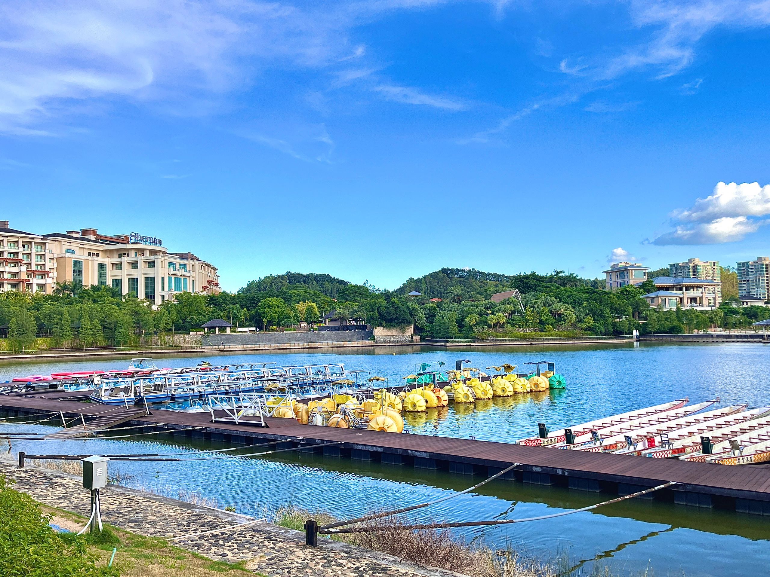 白鹭湖沙滩旅行图片 1