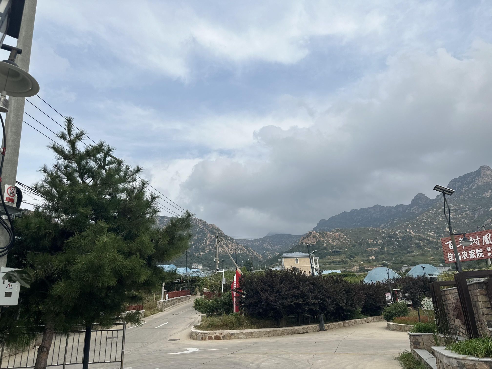 葡萄岛旅行图片 3
