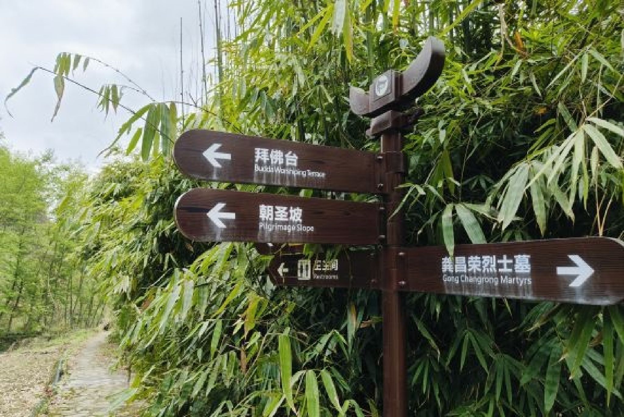 土家十三寨景区旅行图片 3