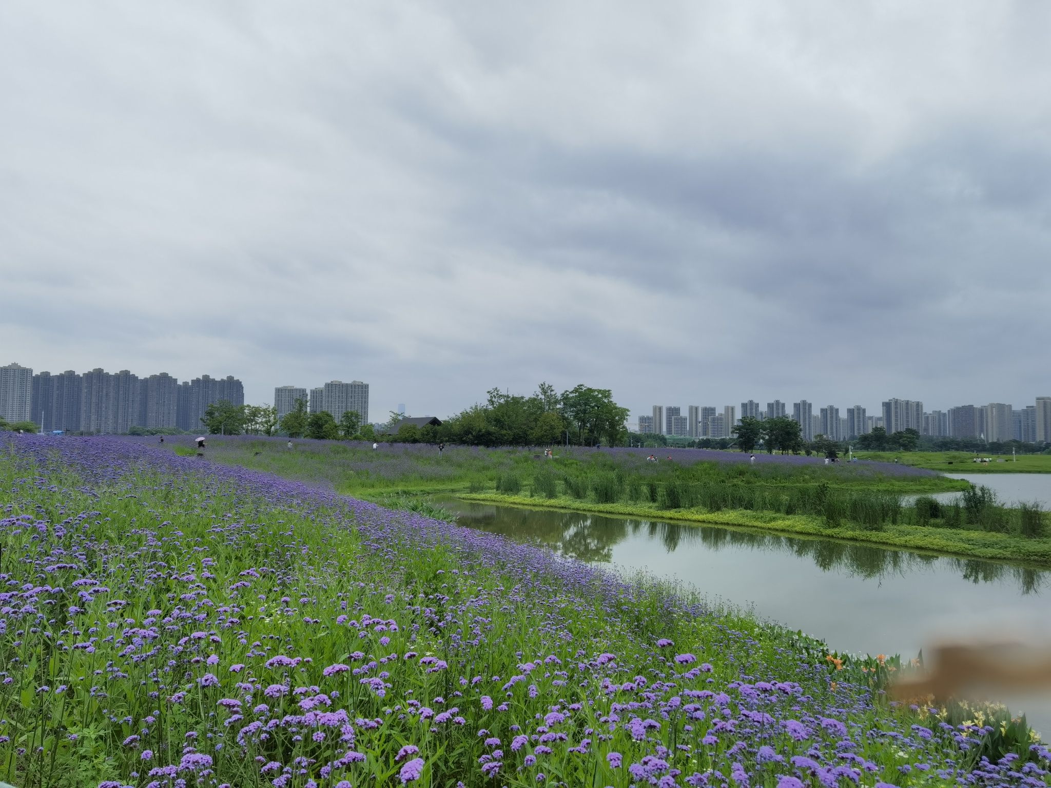 洋湖体育公园旅行图片 3