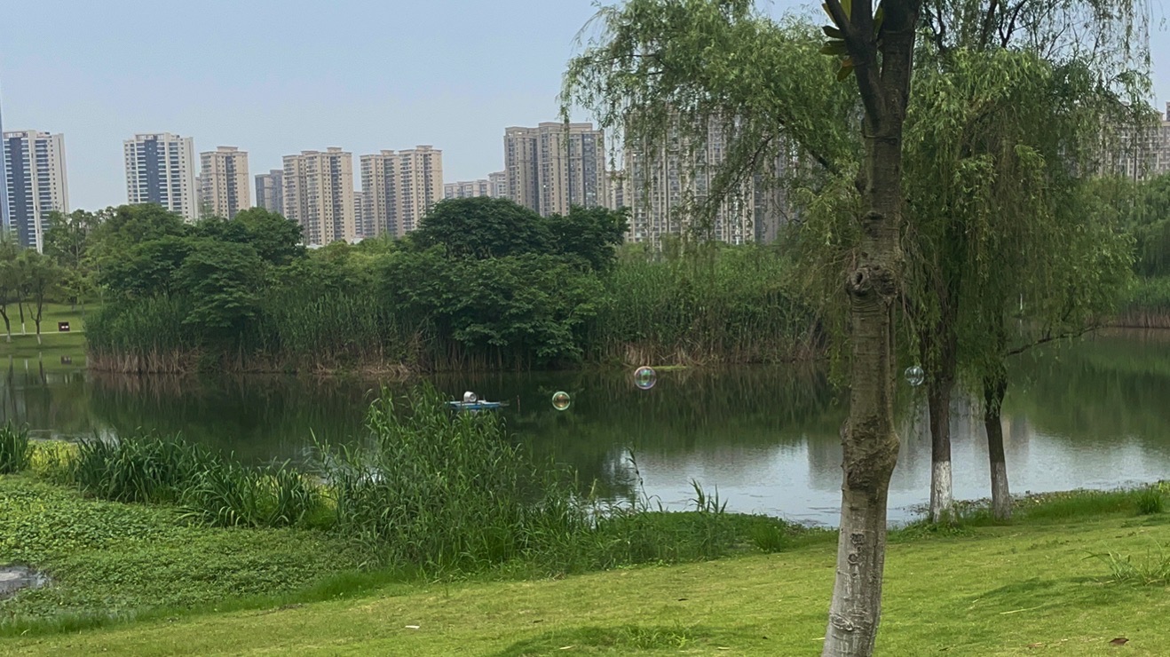 洋湖体育公园旅行图片 2
