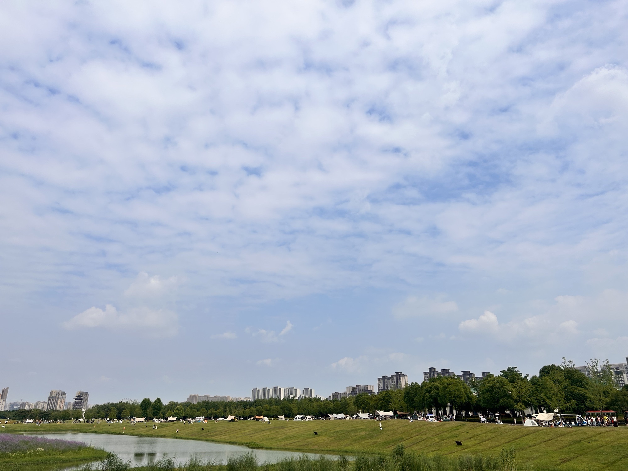 洋湖体育公园旅行图片 1