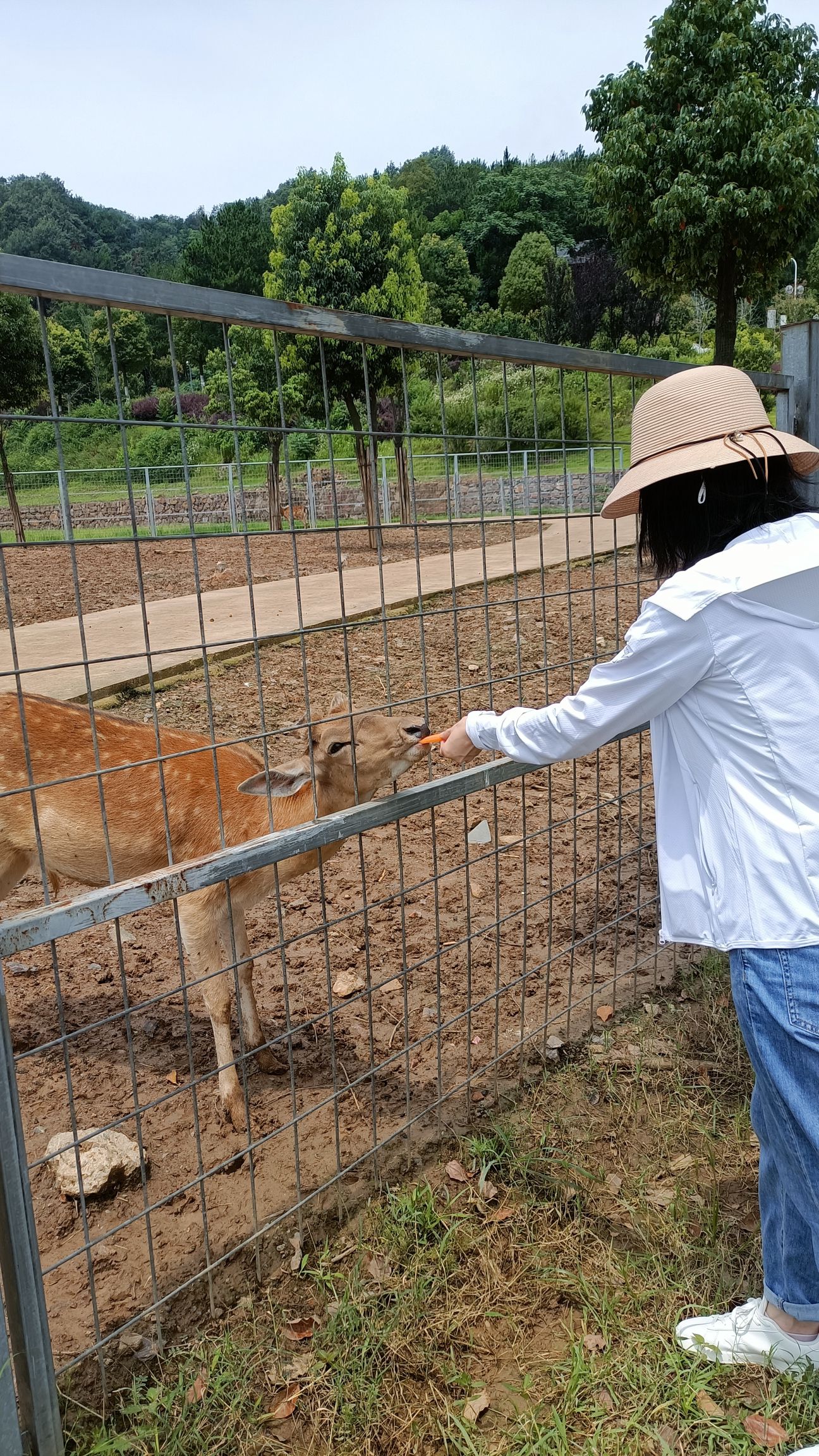安徽大青山野生动物世界旅行图片 2