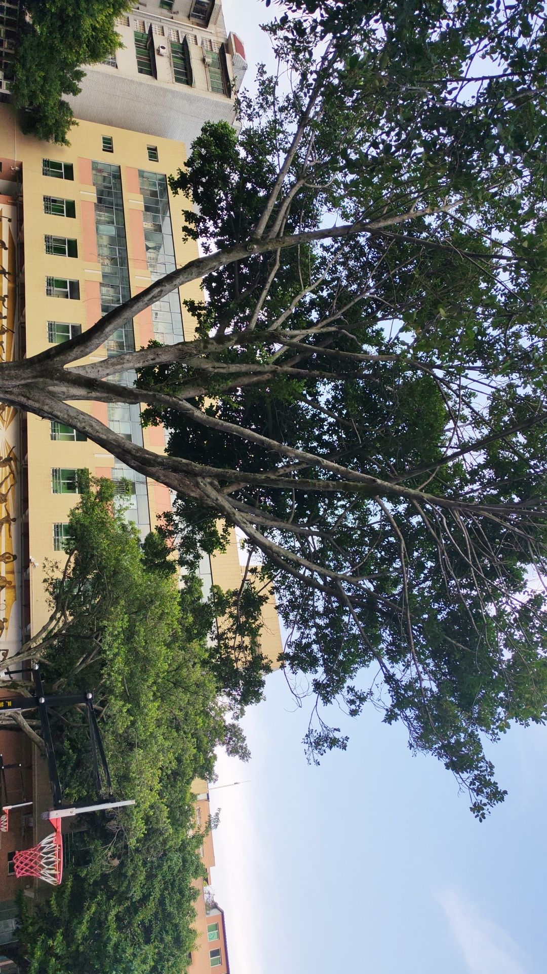 德阳市第一小学