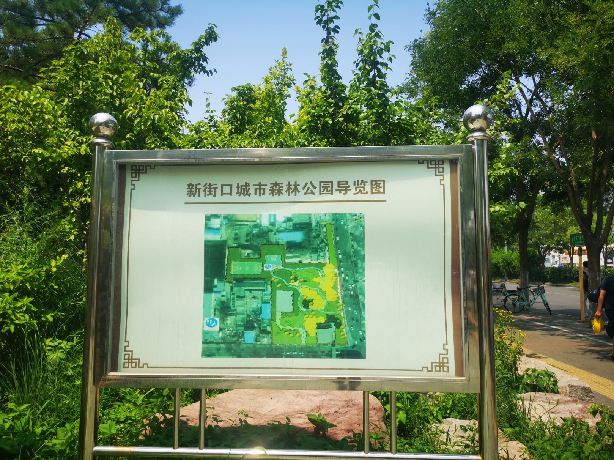 新街口城市森林公园