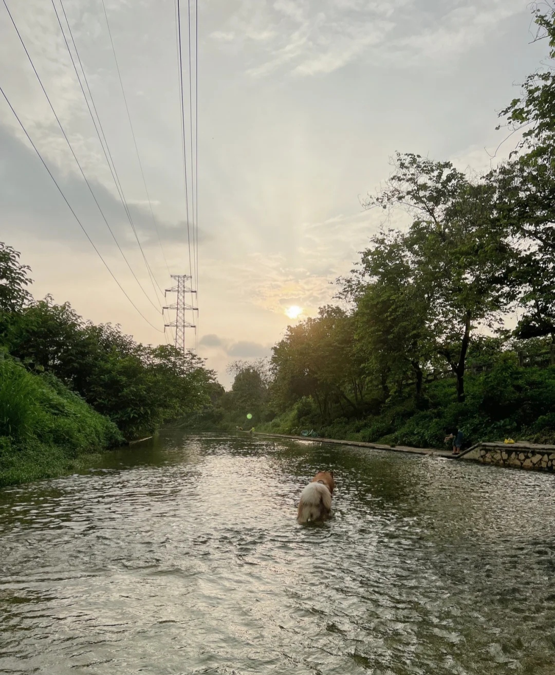清湖水闸旅行图片 3