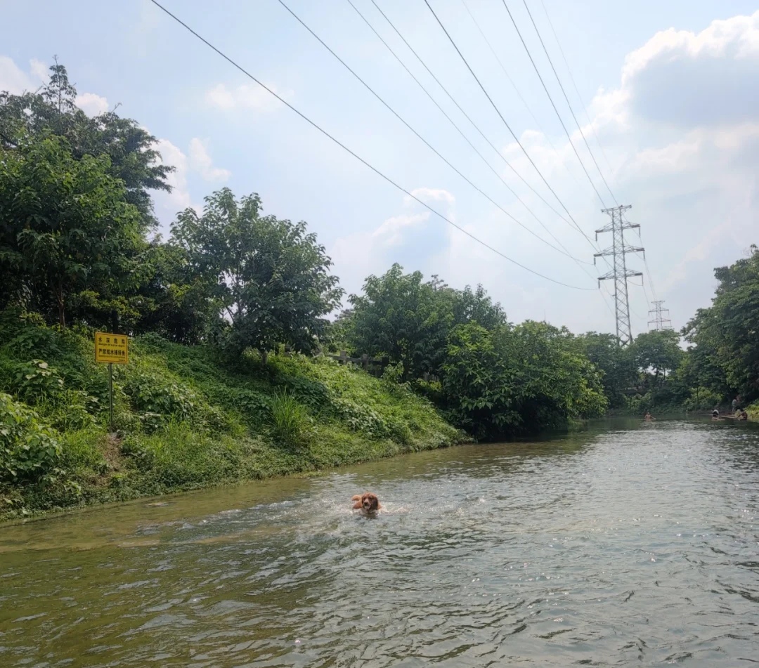 清湖水闸旅行图片 2