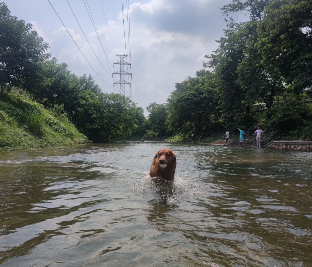 清湖水闸旅行图片 1