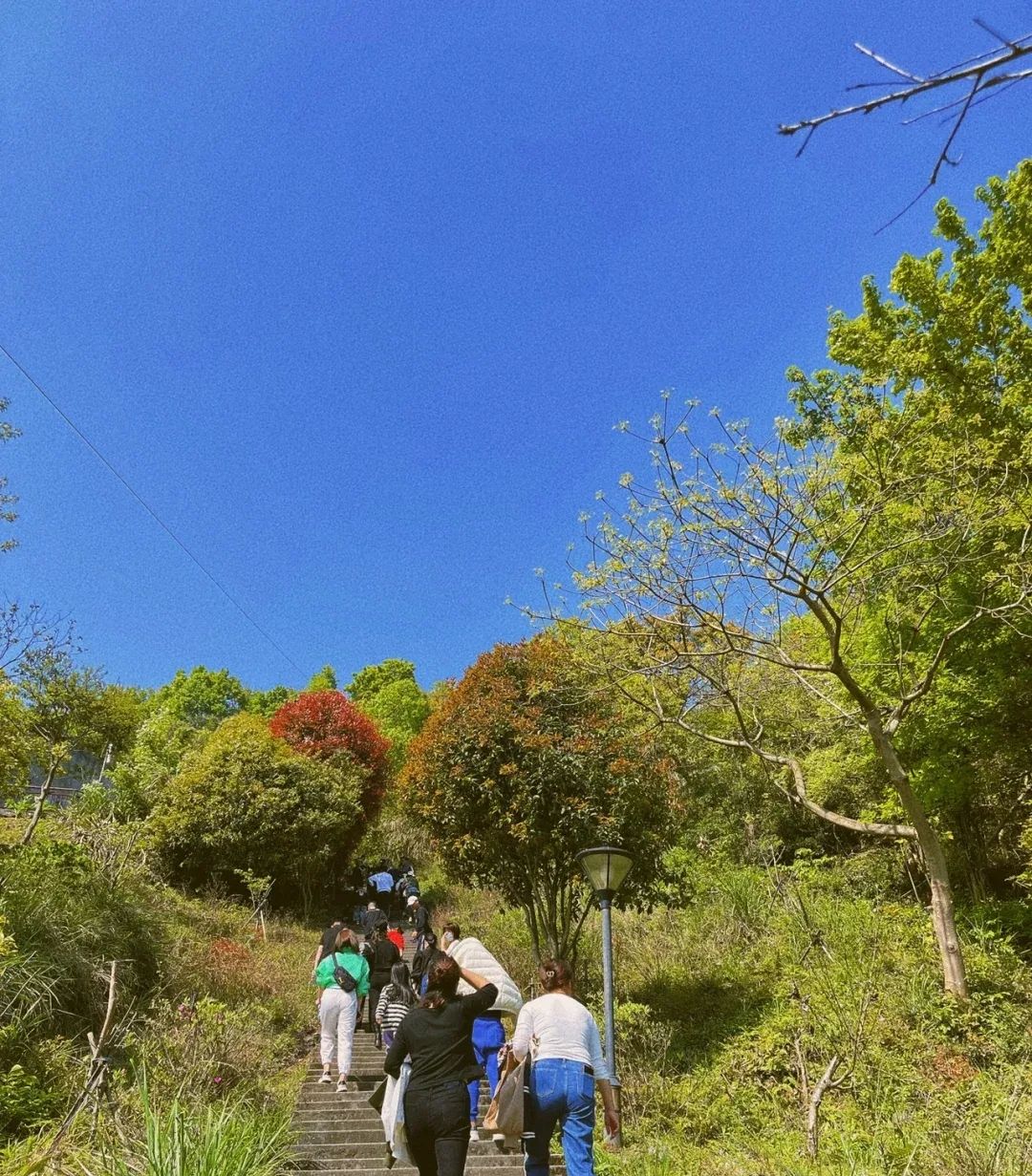 鹿峰山旅行图片 1