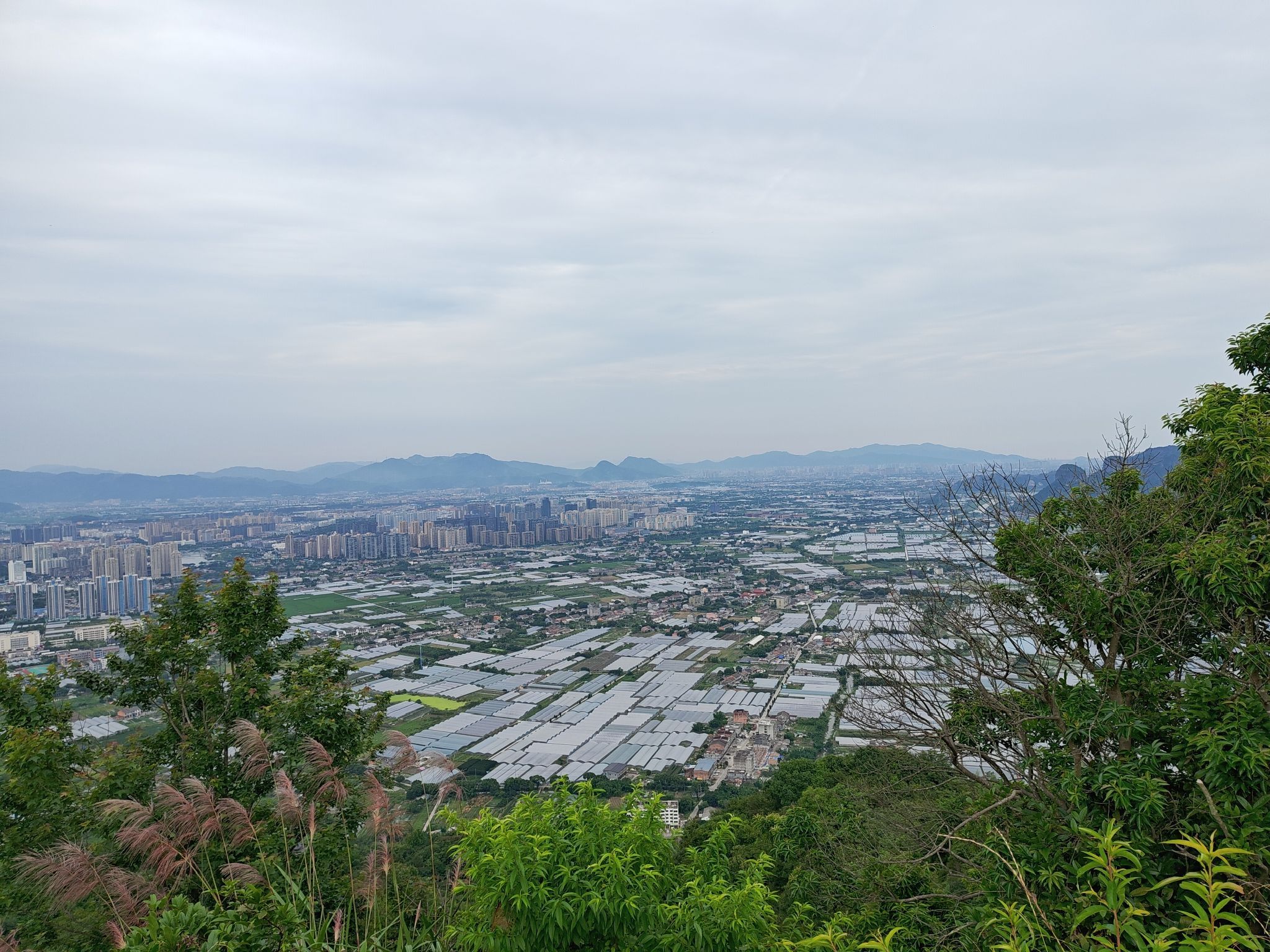 鹿峰山旅行图片 2