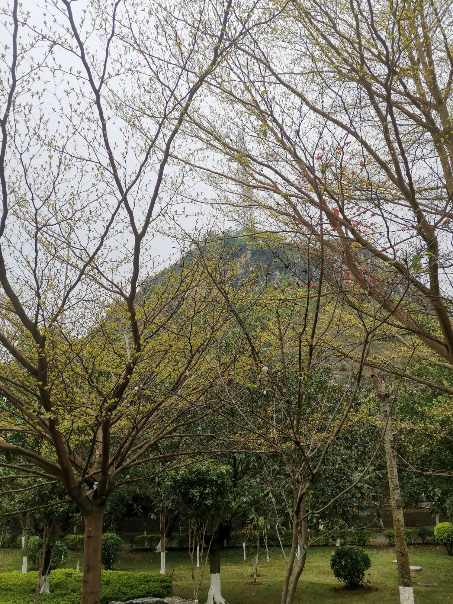武宣马鞍山公园旅行图片 2