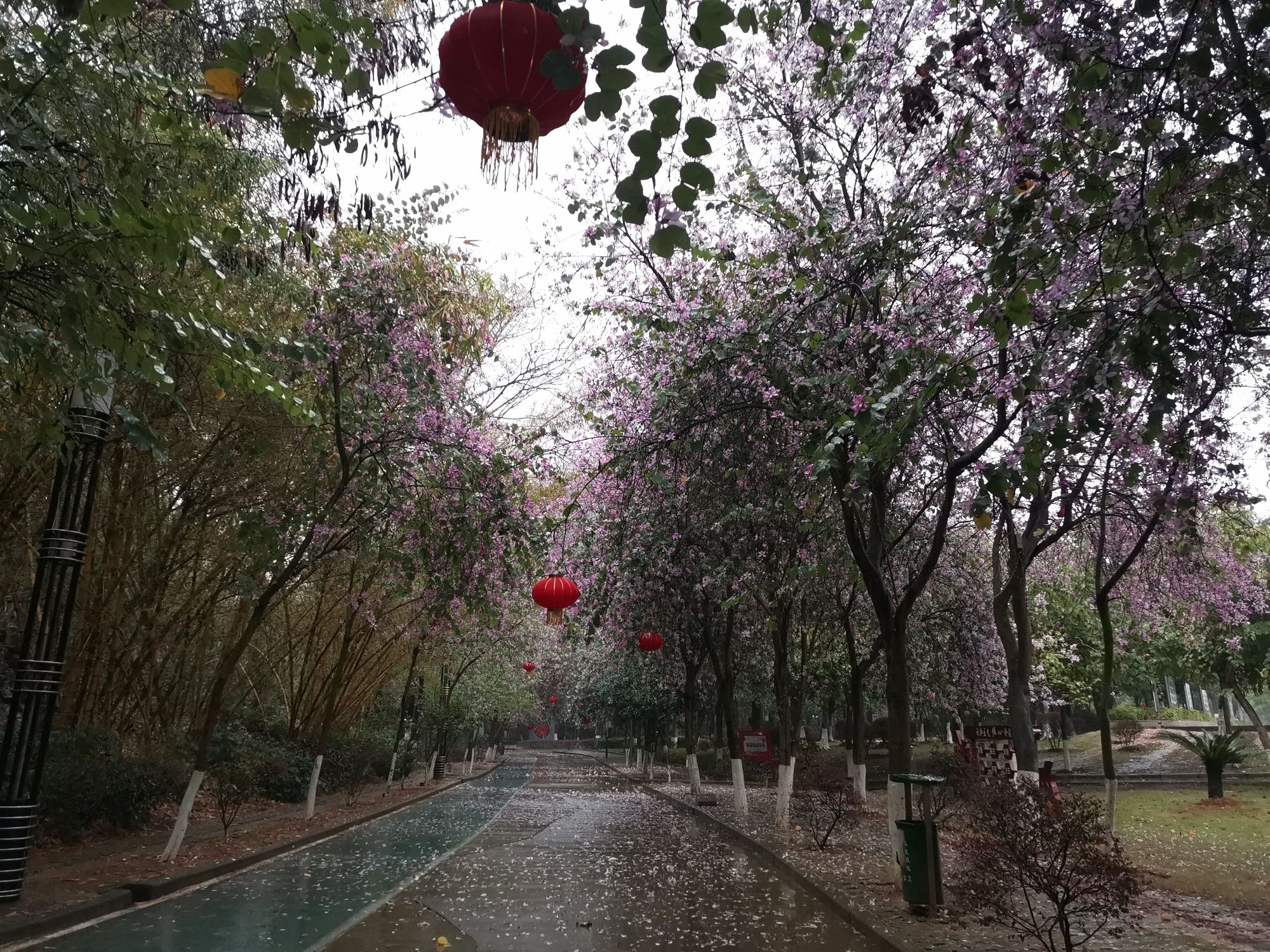 武宣马鞍山公园旅行图片 3