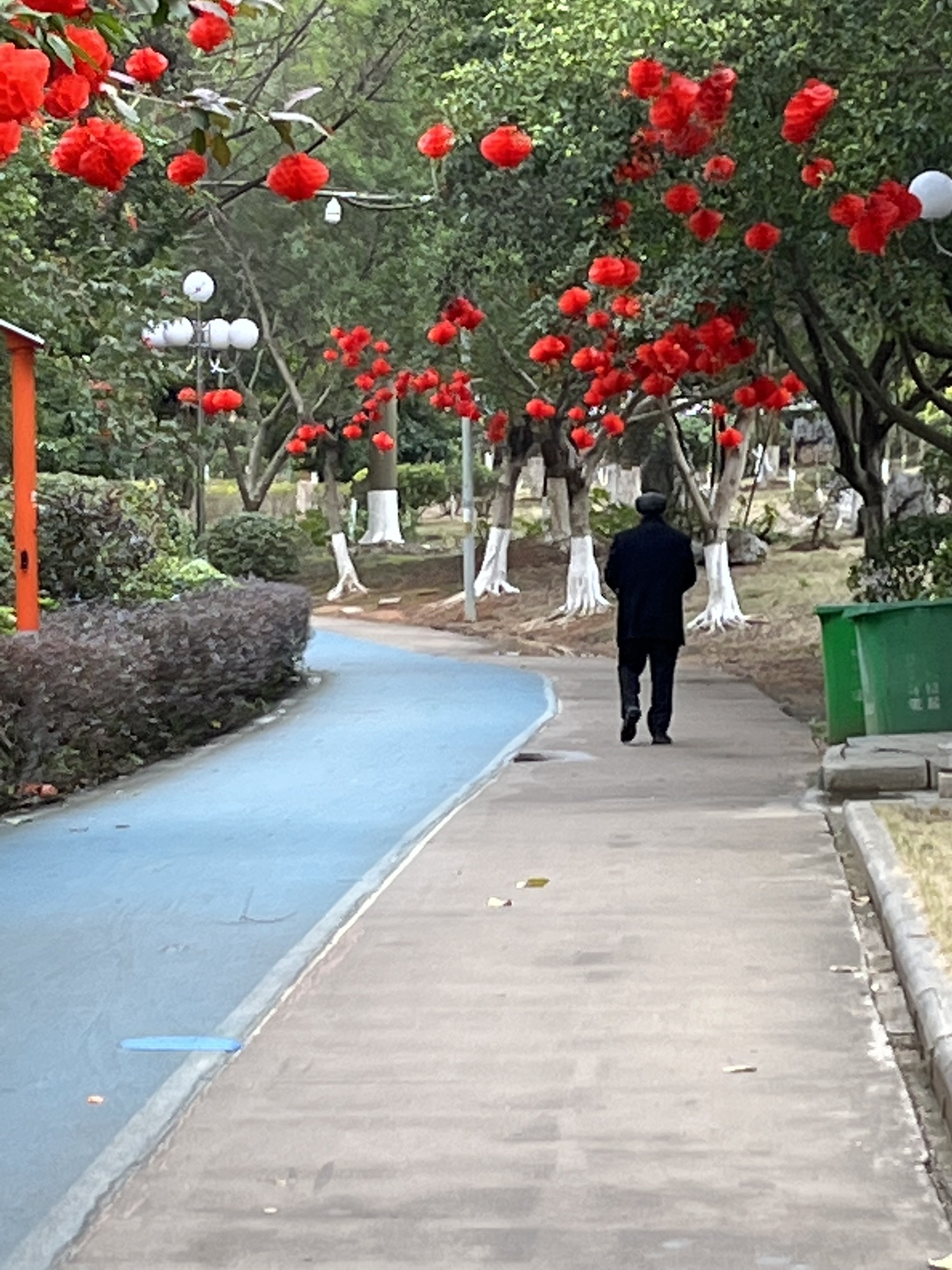 武宣马鞍山公园旅行图片 1