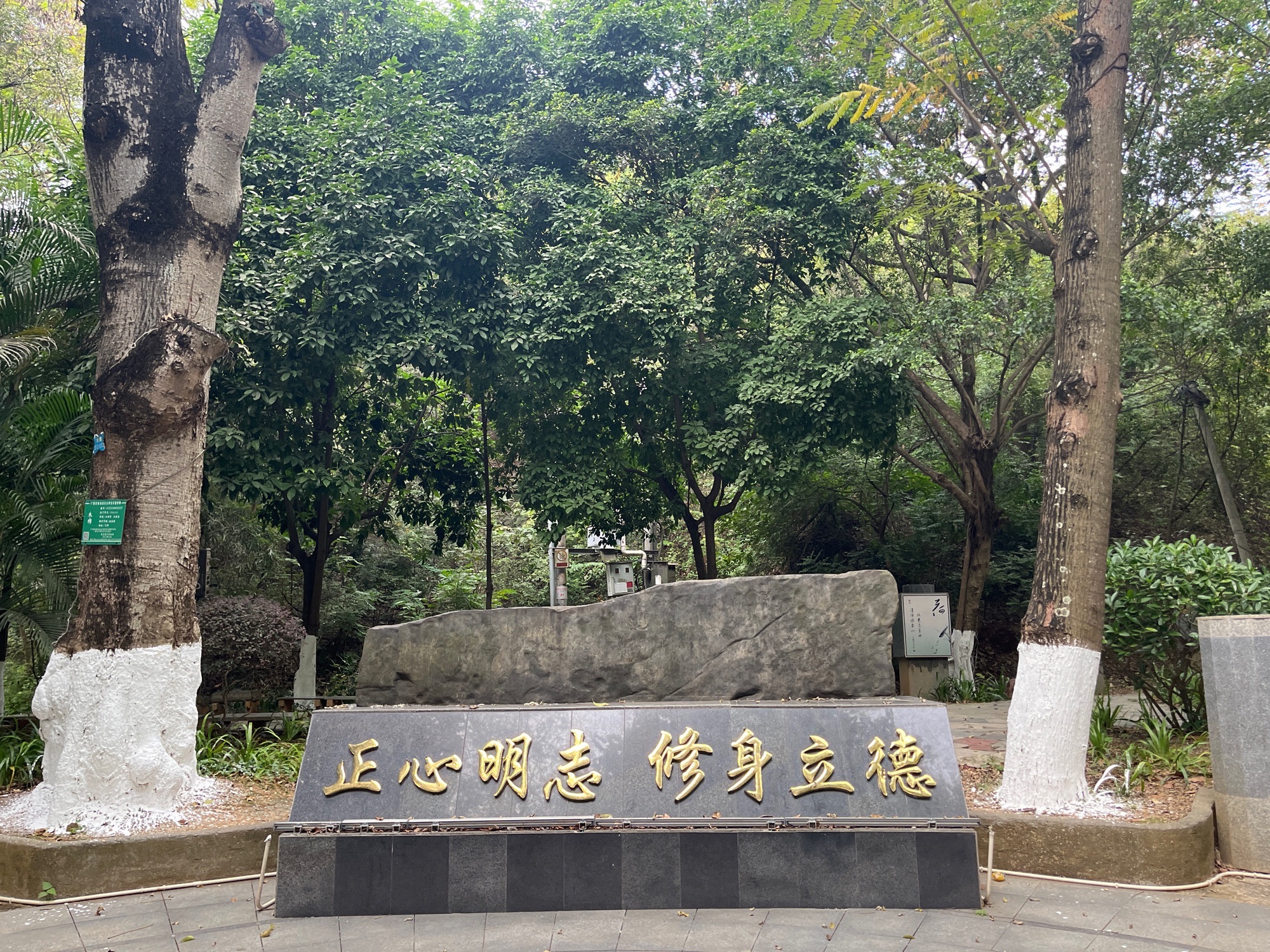 武宣马鞍山公园旅行图片 1