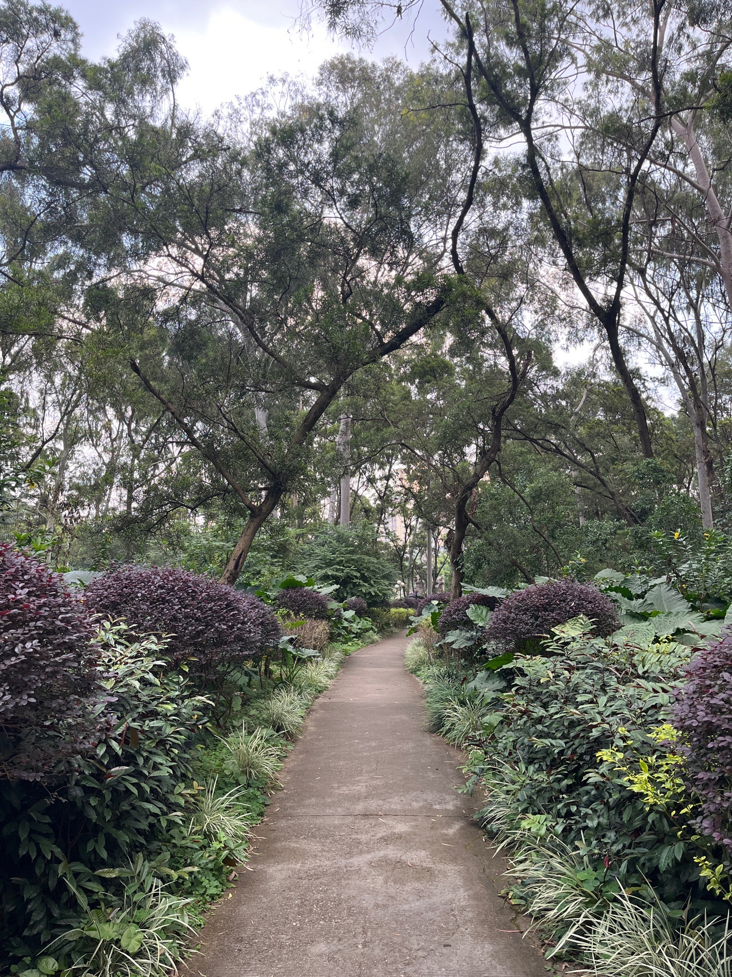 武宣马鞍山公园旅行图片 3