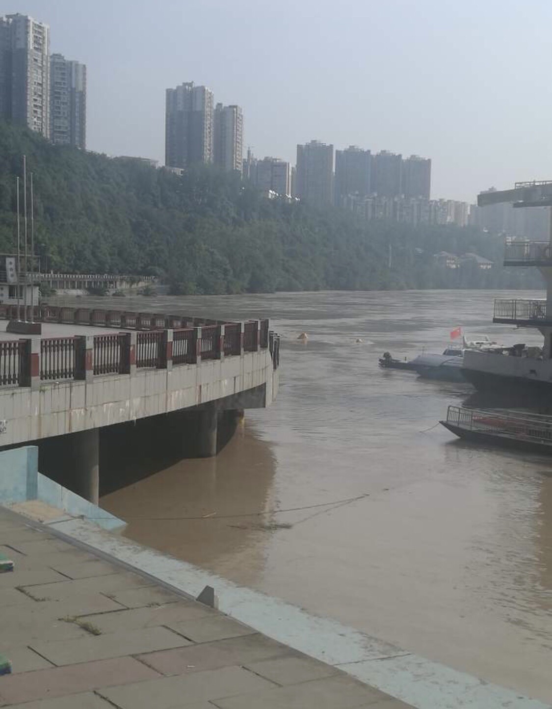 印山公园旅行图片 1